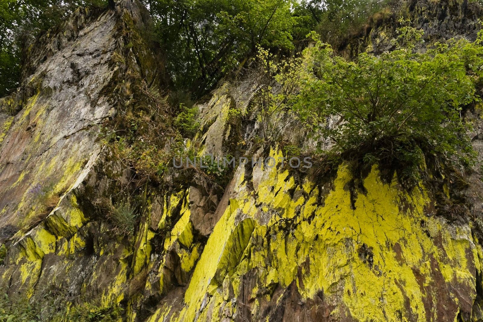 Rockwall overgrown with moss and bushes