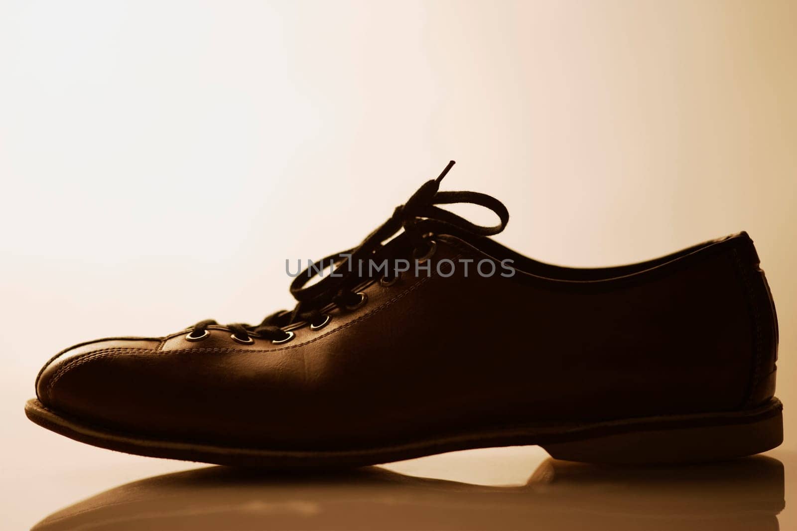 Bowling shoe