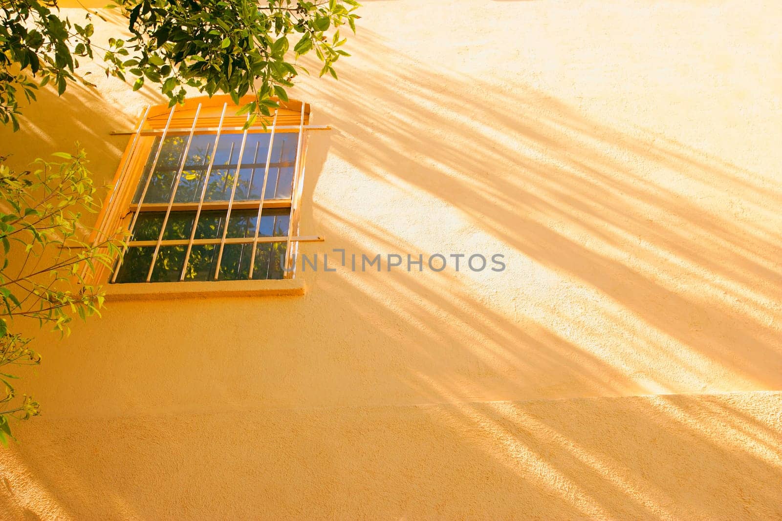 Exterior window