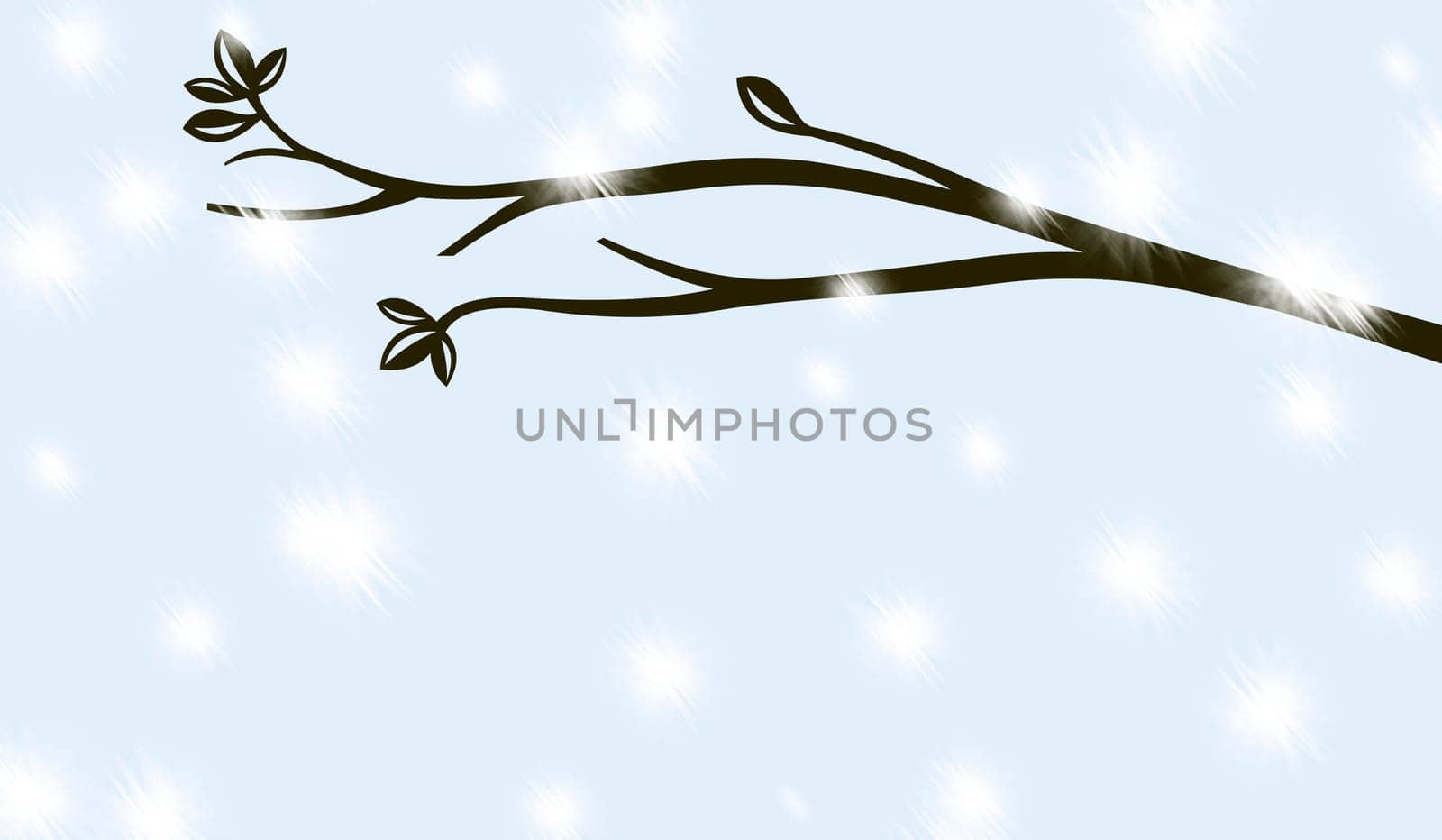 Tree branch in the snow