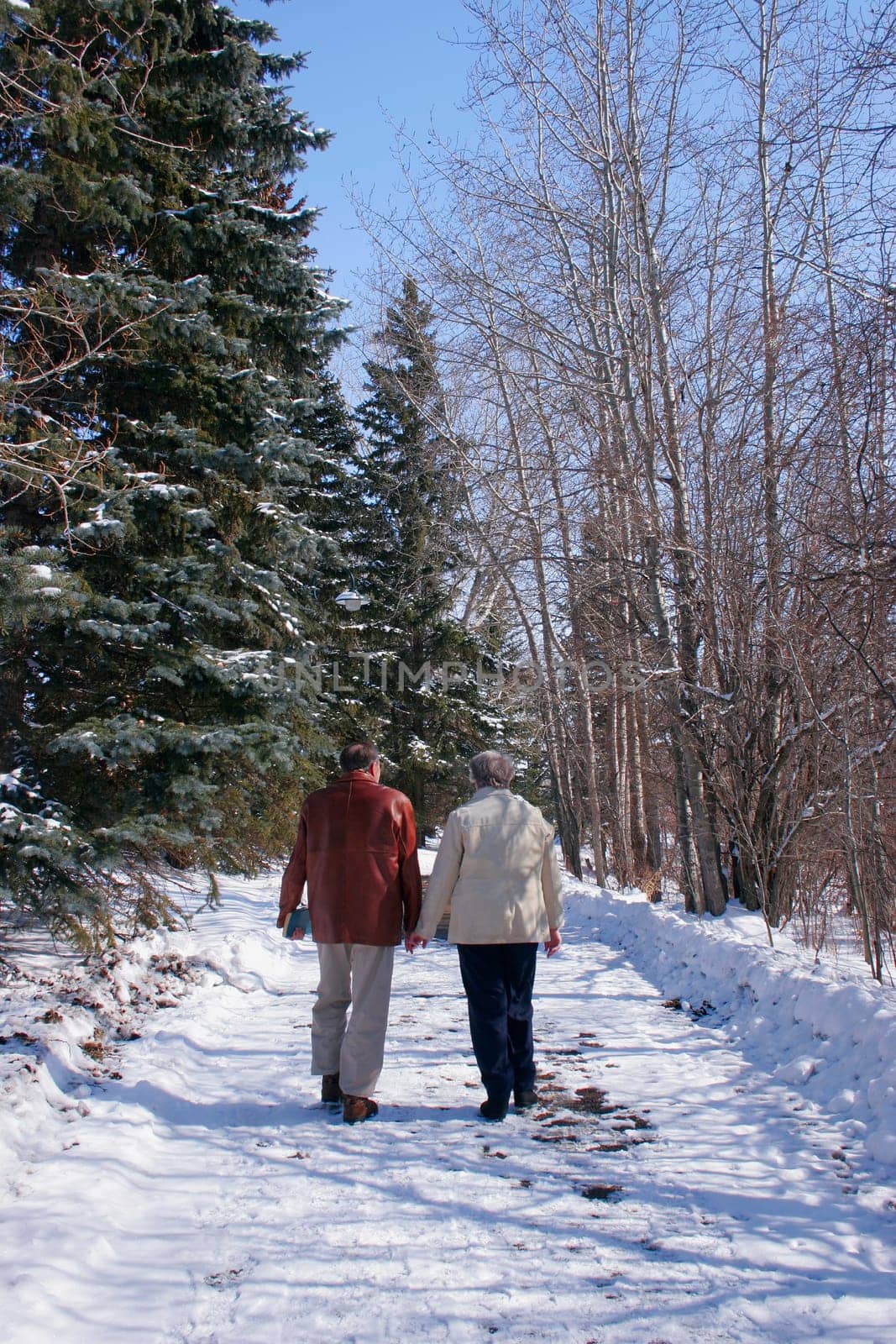 Senior couple walking in the snow