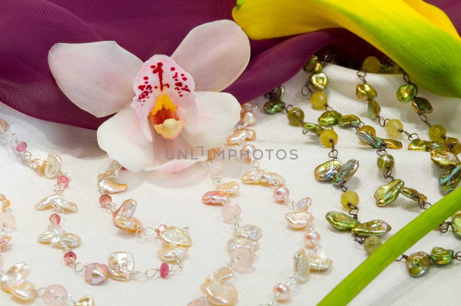Orchid still life