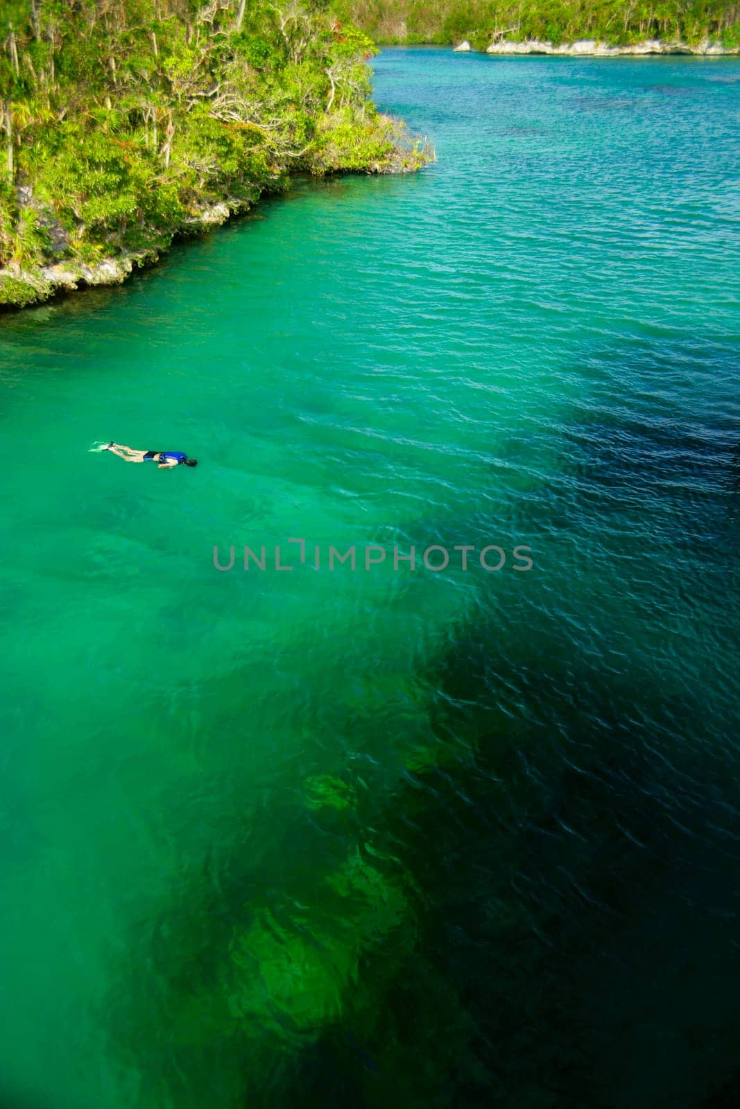 Single diver in expanse of water