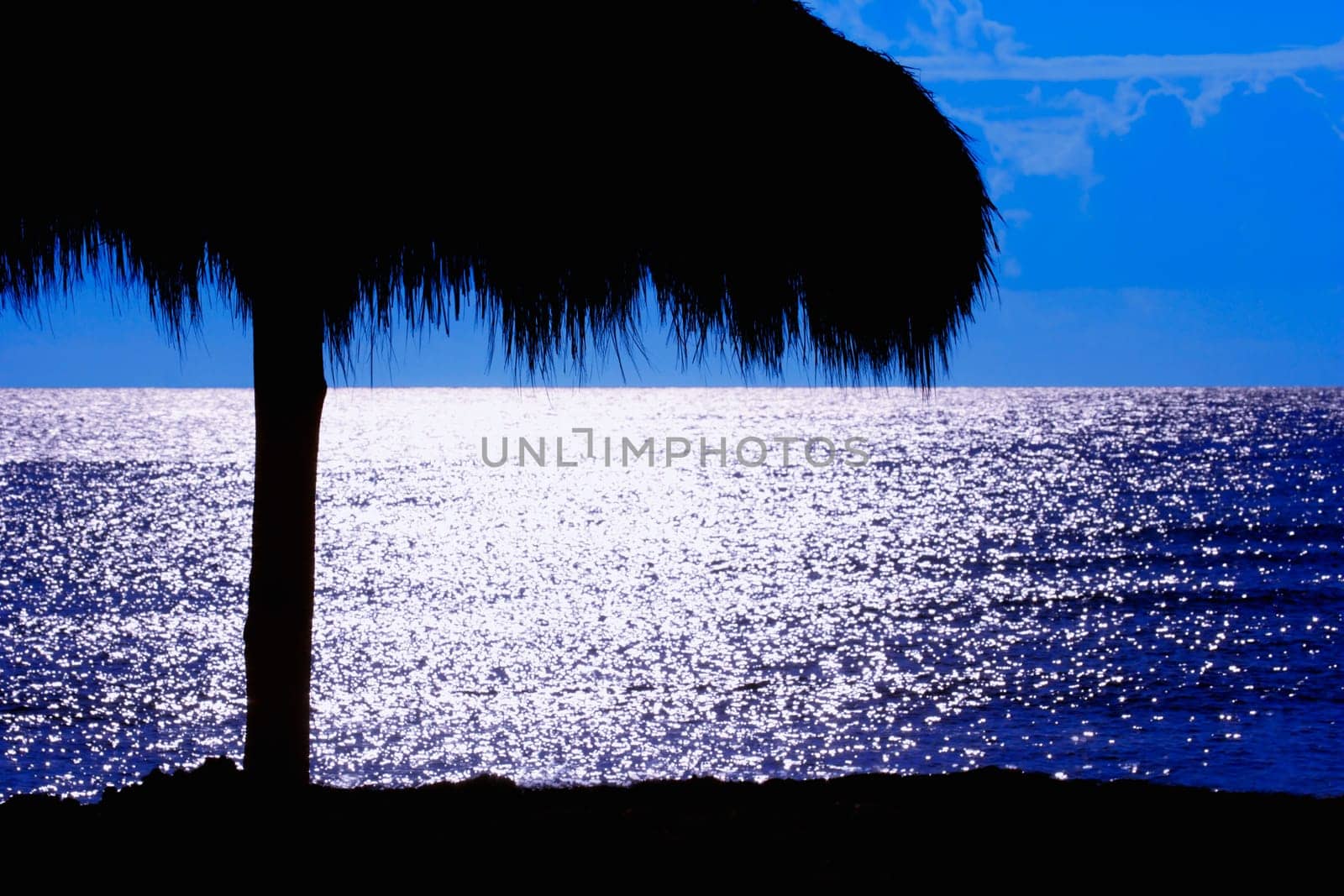 Tropical evening at the beach