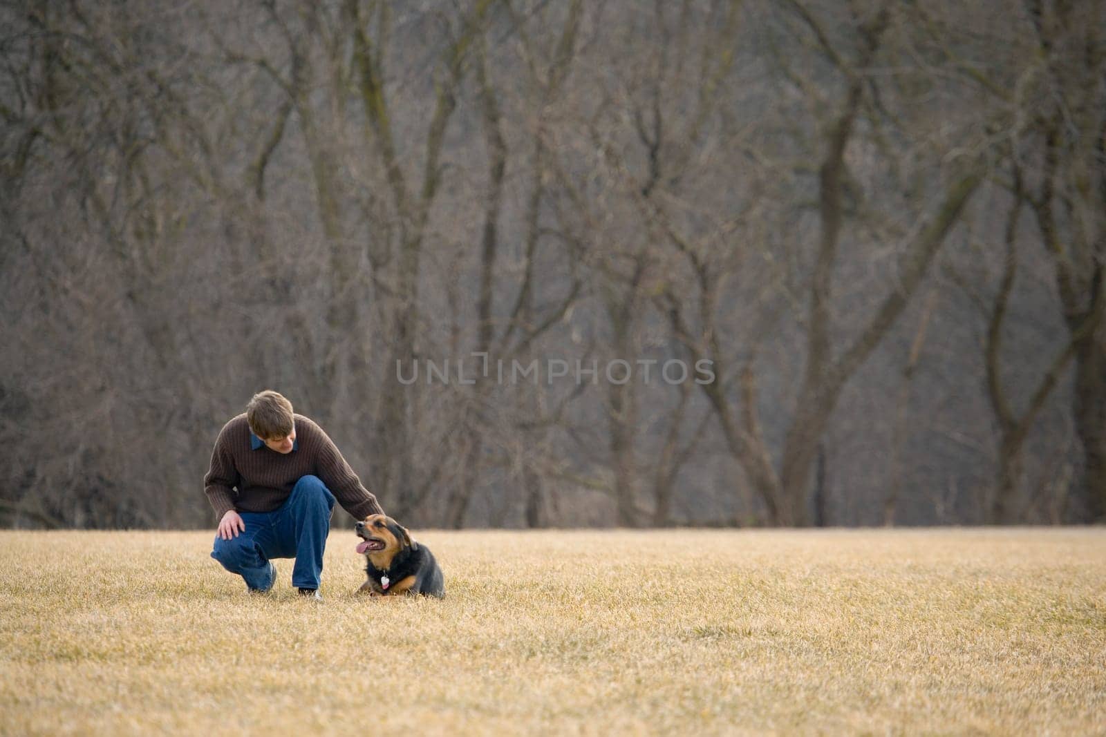 Man's best friend