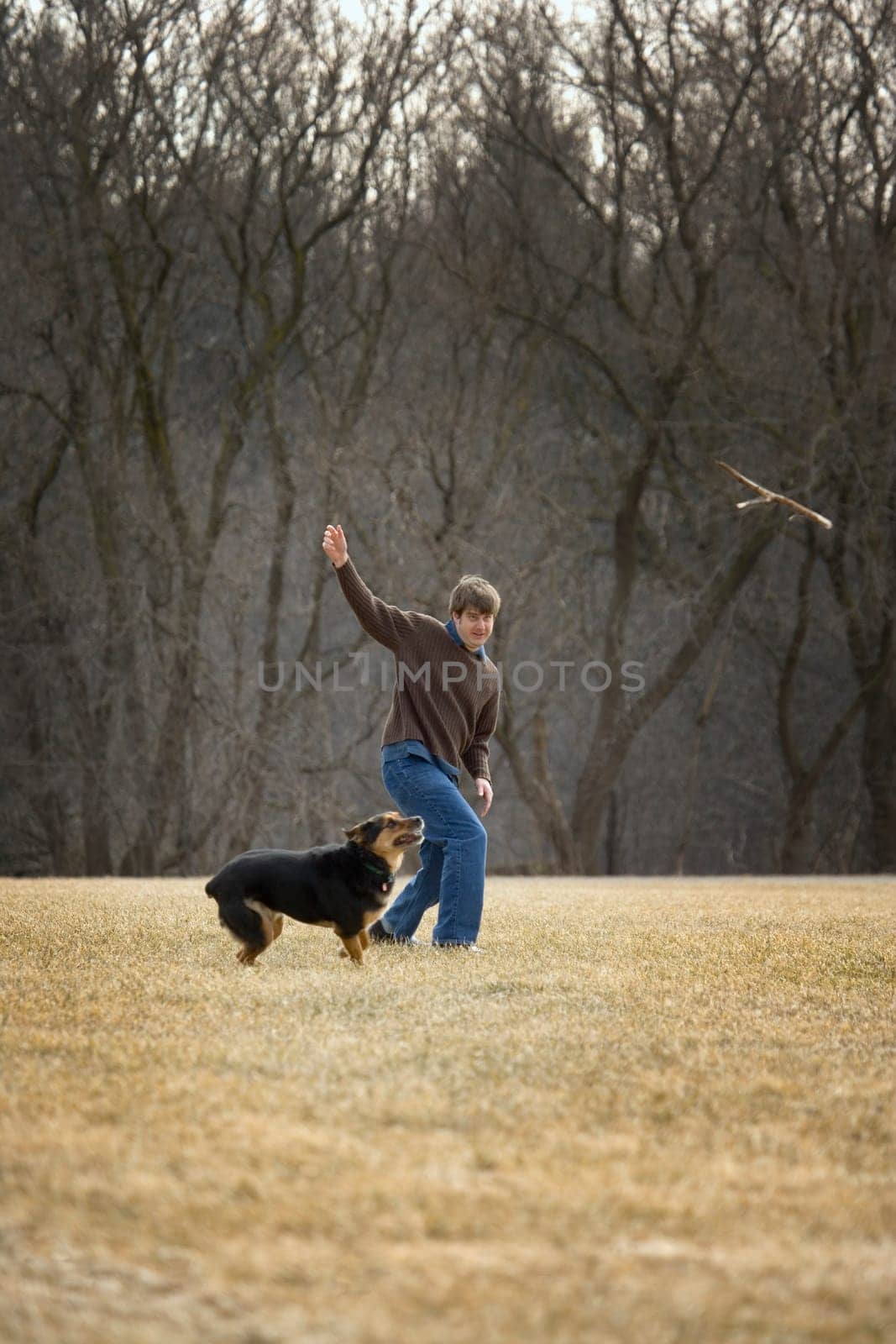 Man throws stick for dog