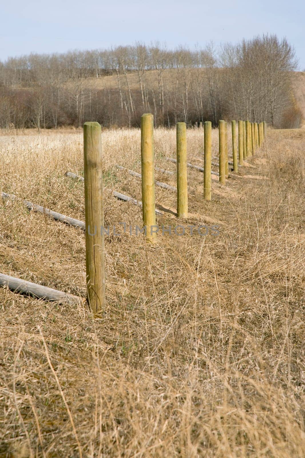 Rural Fence Posts