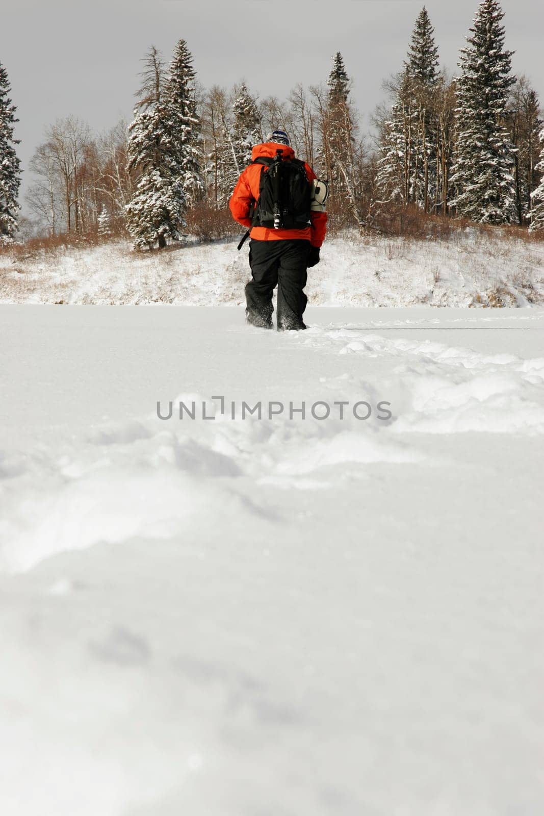Hiking in the snow