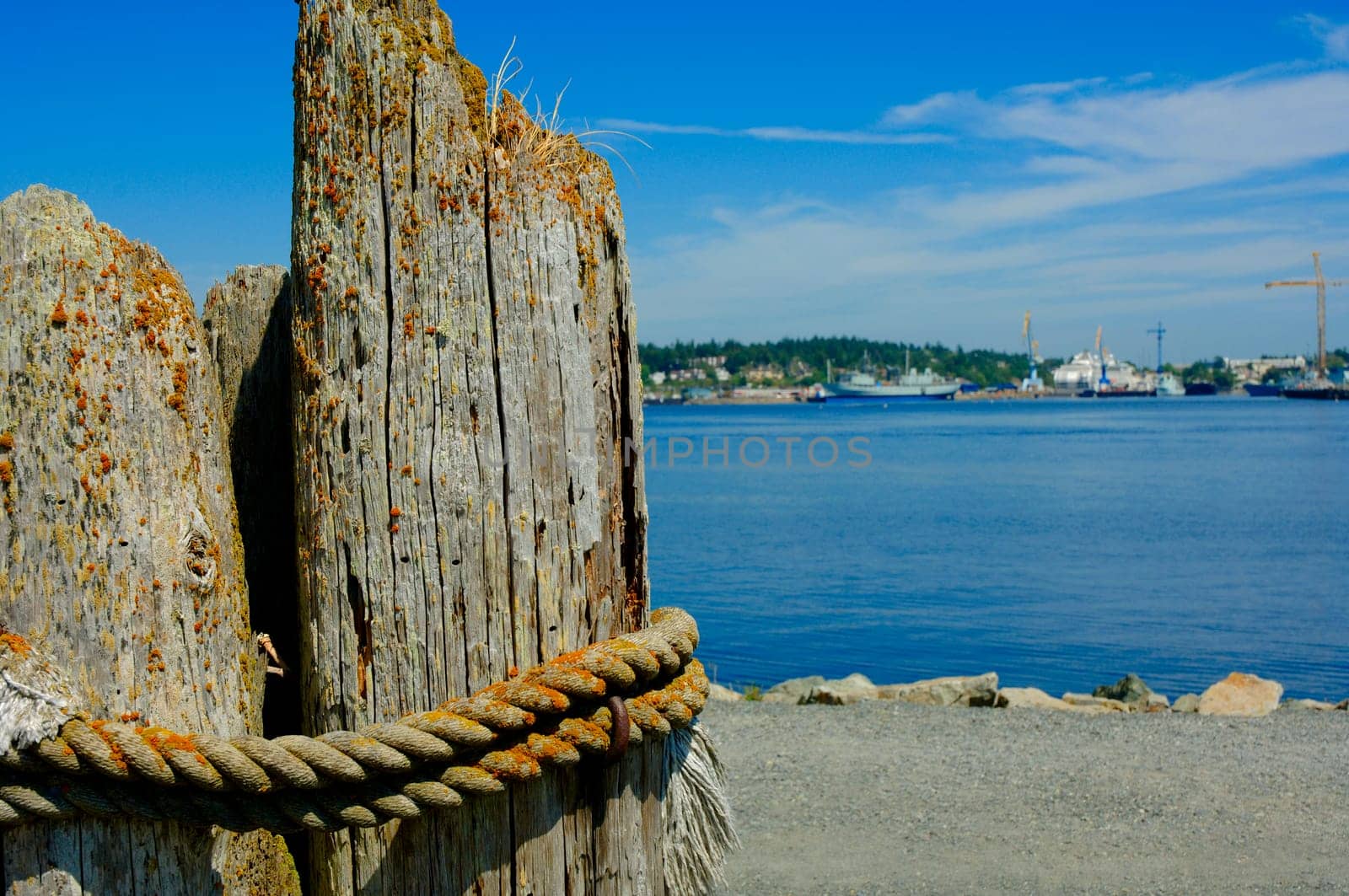 Coastal View