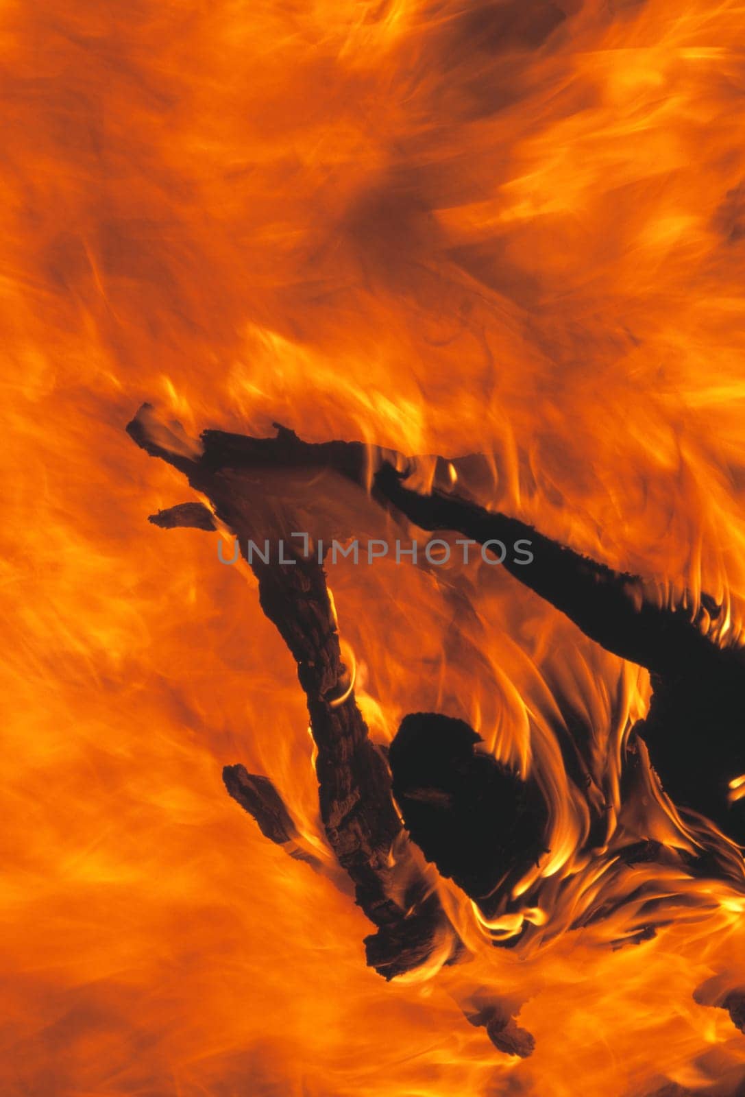 Burning tree stump