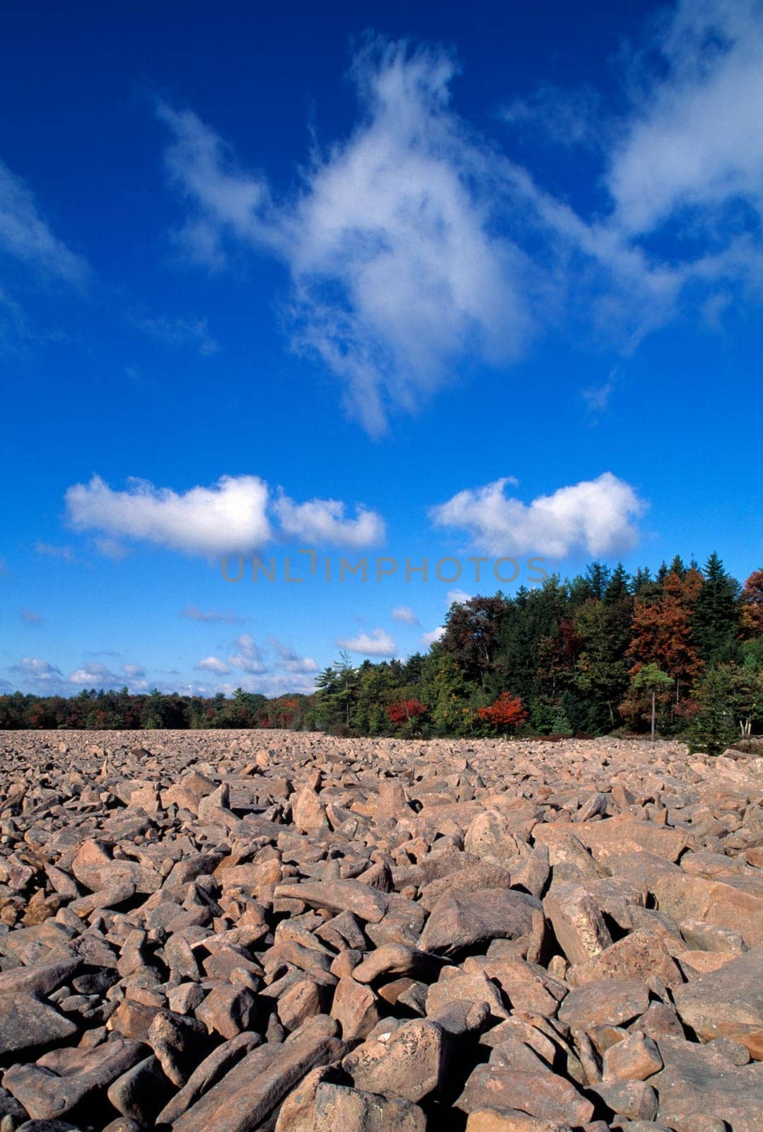 Rocky beach