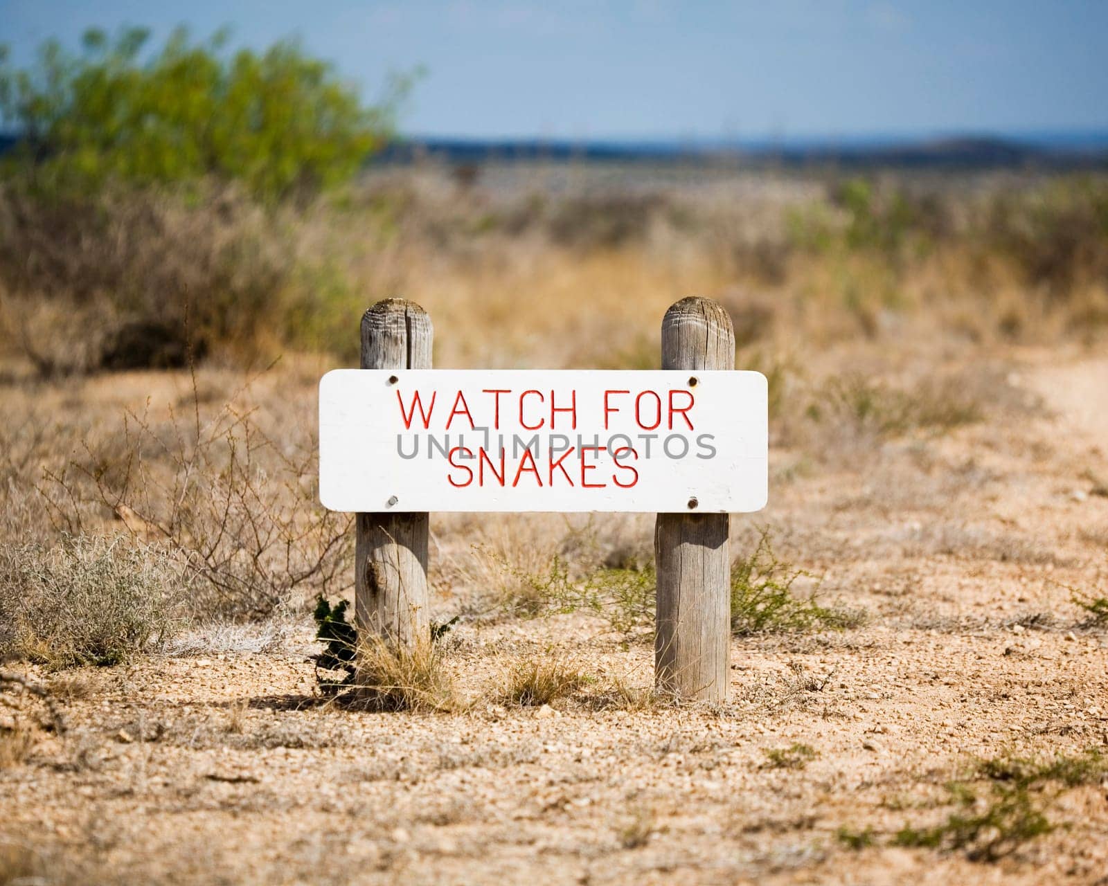 Watch for snakes
