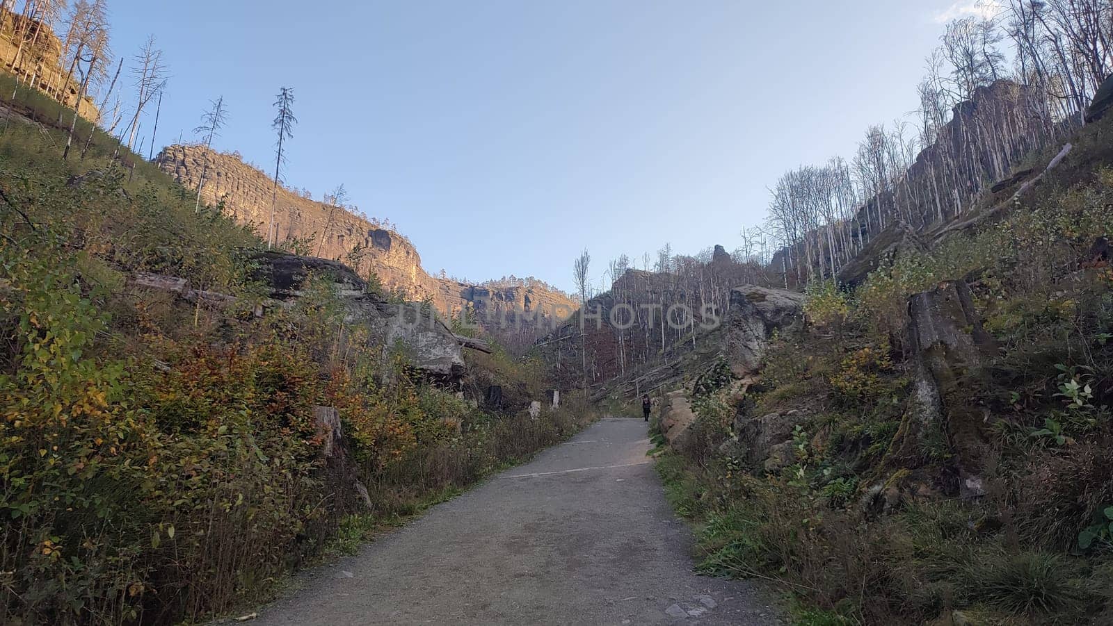 Pathway rocky landscape nature background sky landscape road green leaves trees nature . High quality photo
