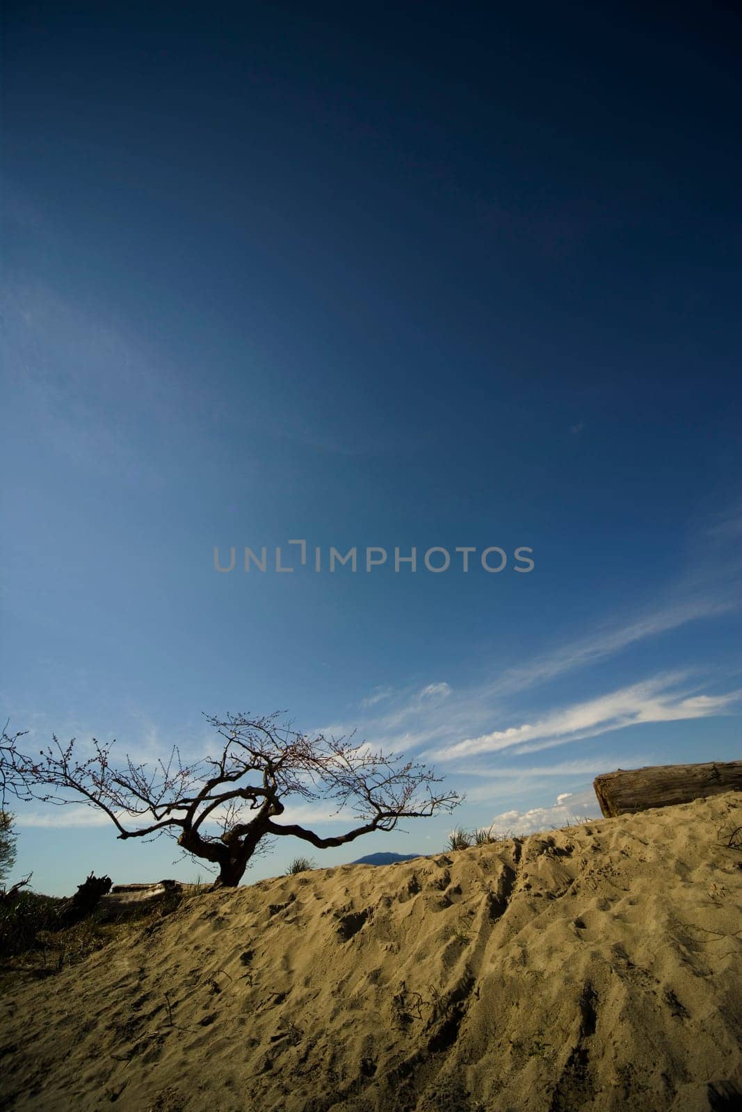 Desolated sandy beach