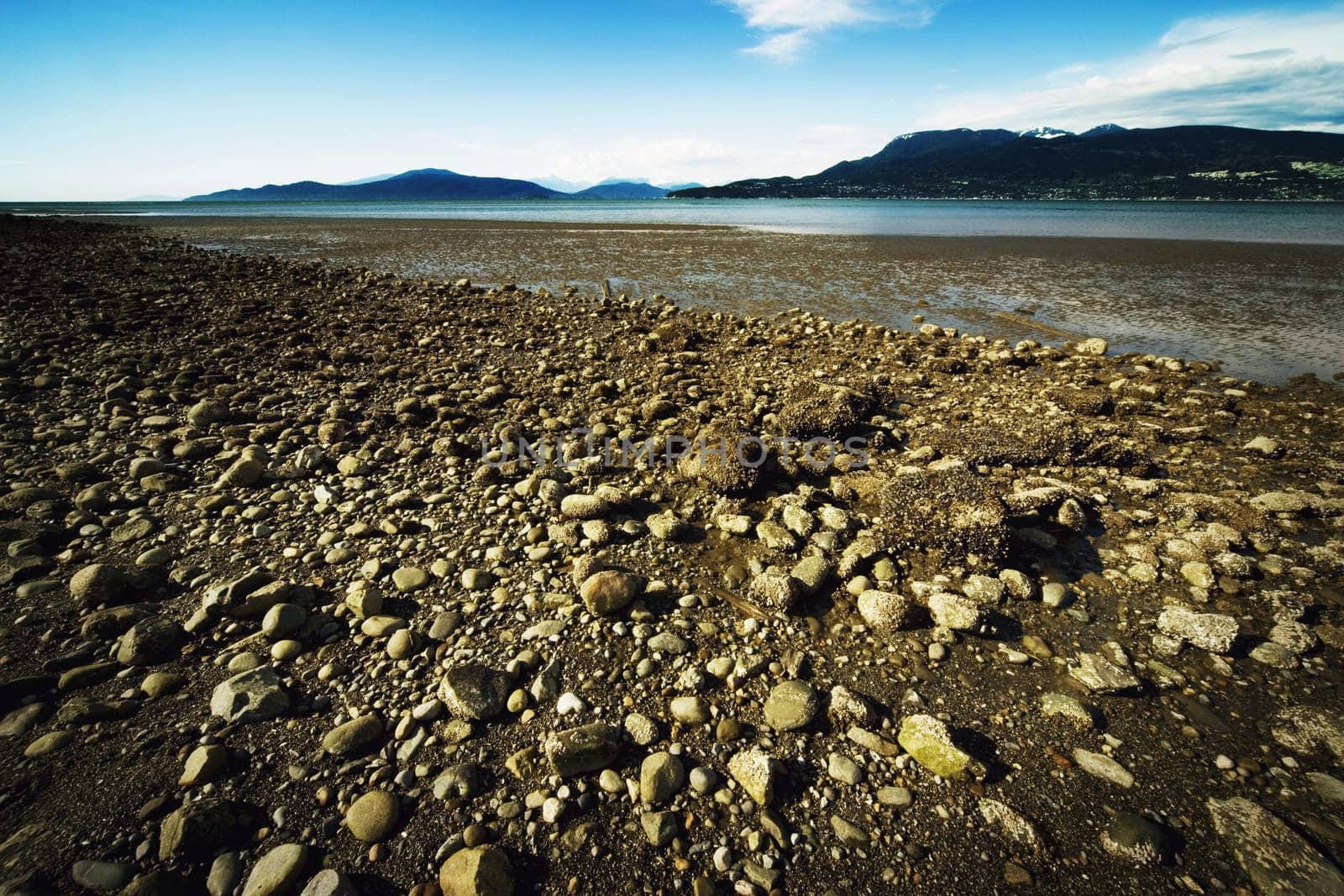 Exposed sea bed from receding tide