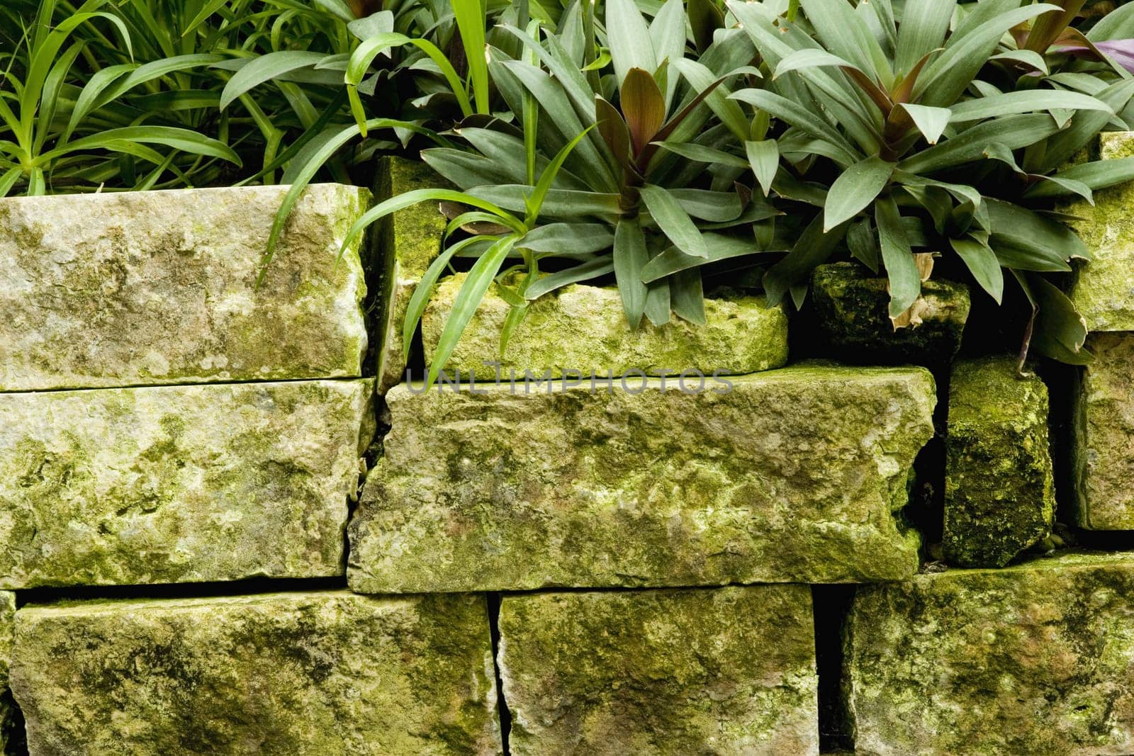 Stone wall