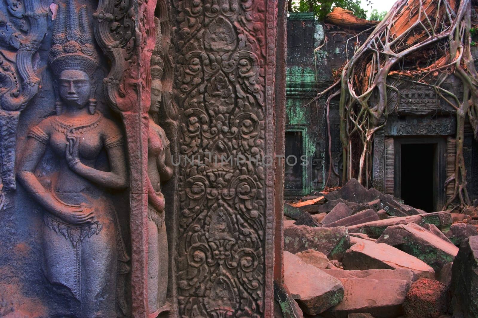 Ta Prohm bas reliefs, Angkor, Cambodia