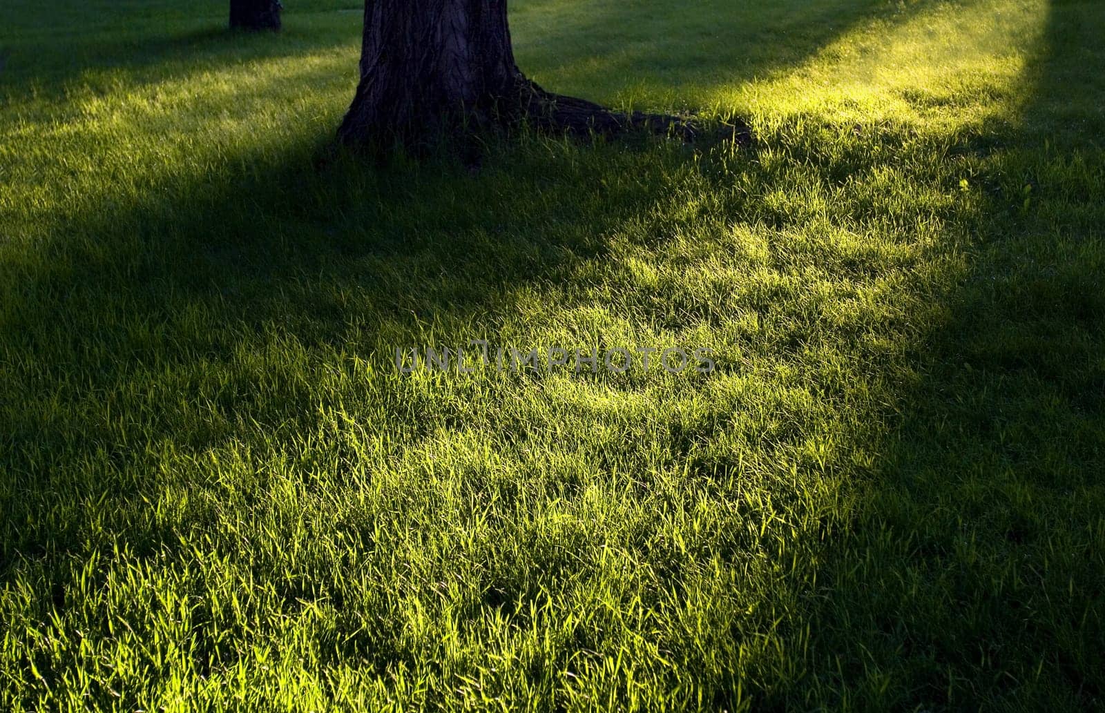 Light breaking shadows