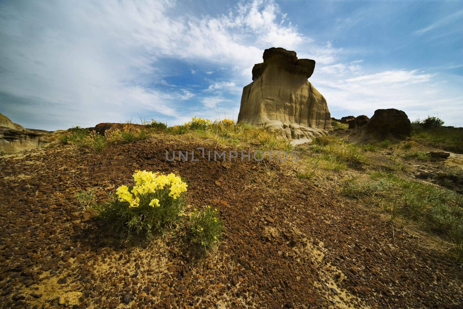 Arid scenic