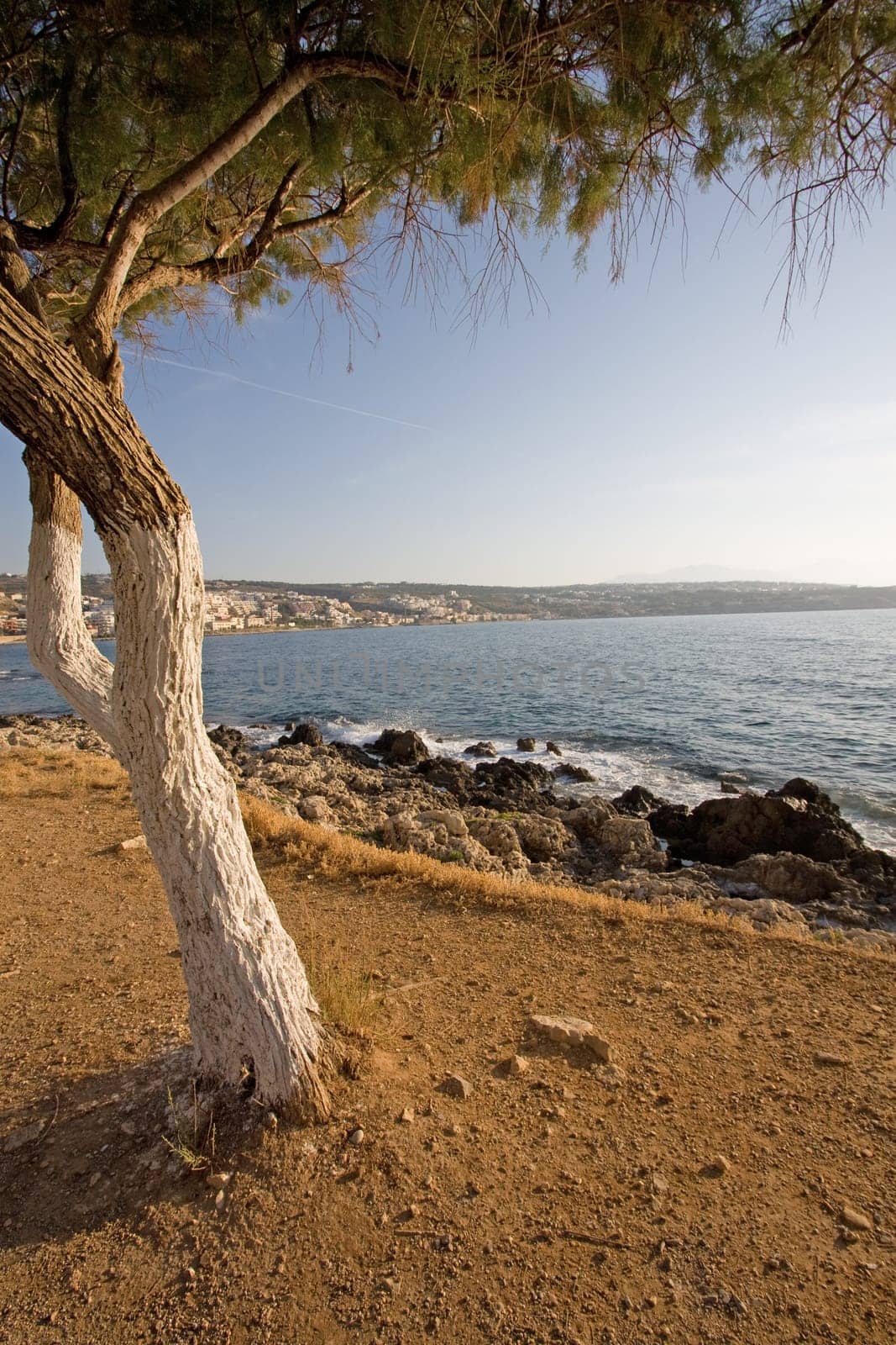 Coast of Crete