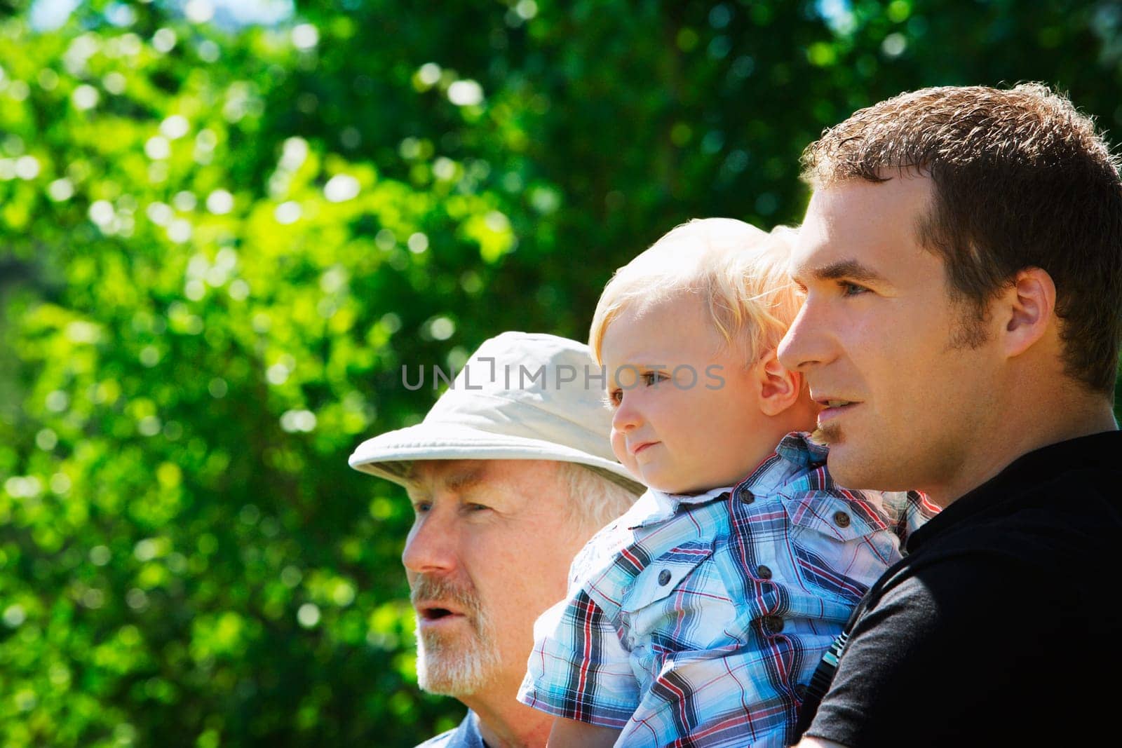 Three generations