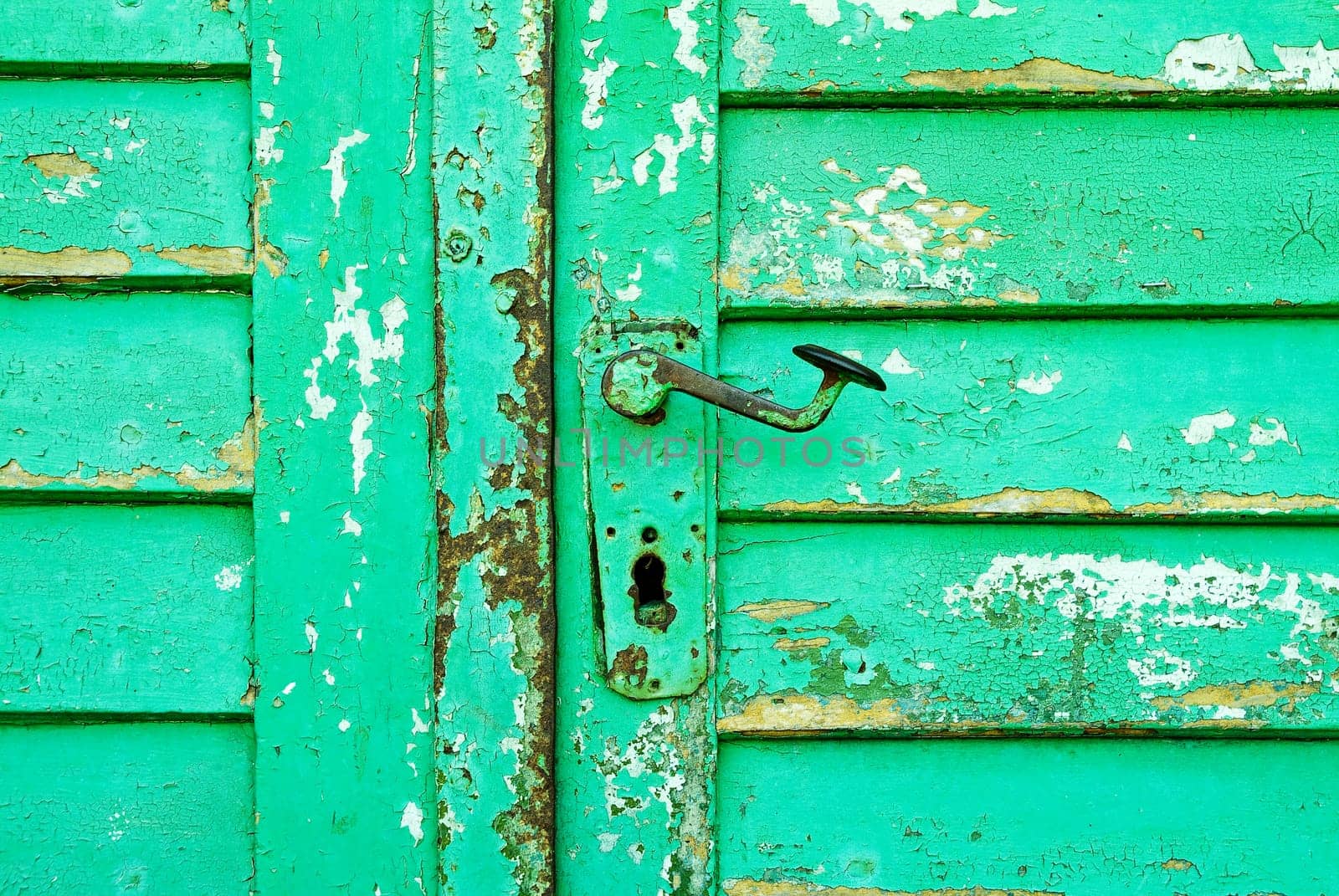 Old green wooden door with slats
