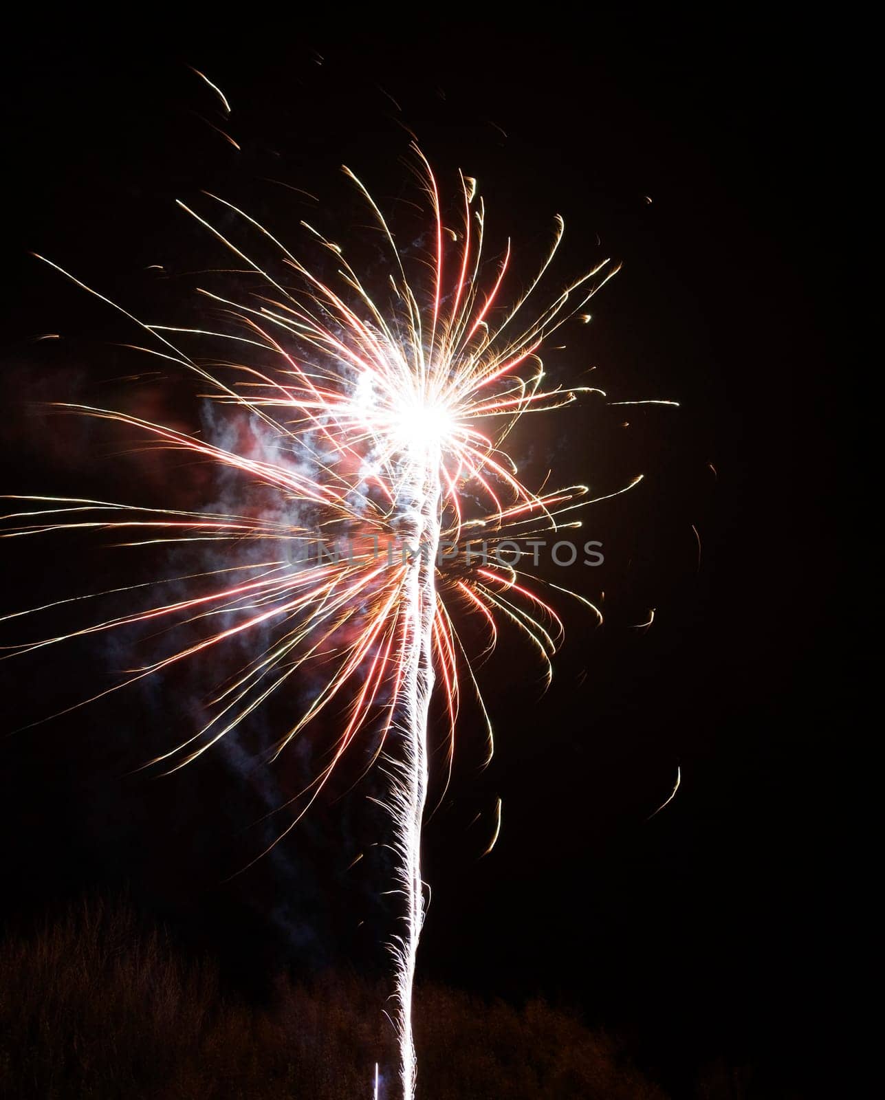 Fireworks in the night sky