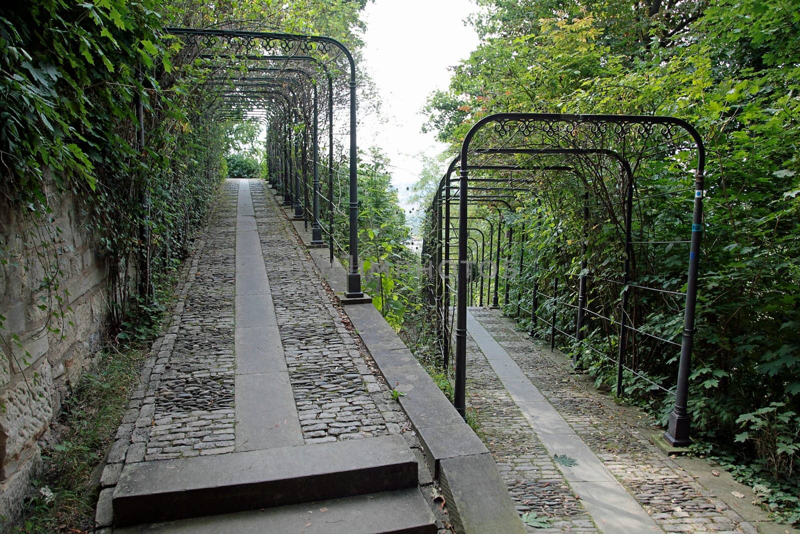 Path