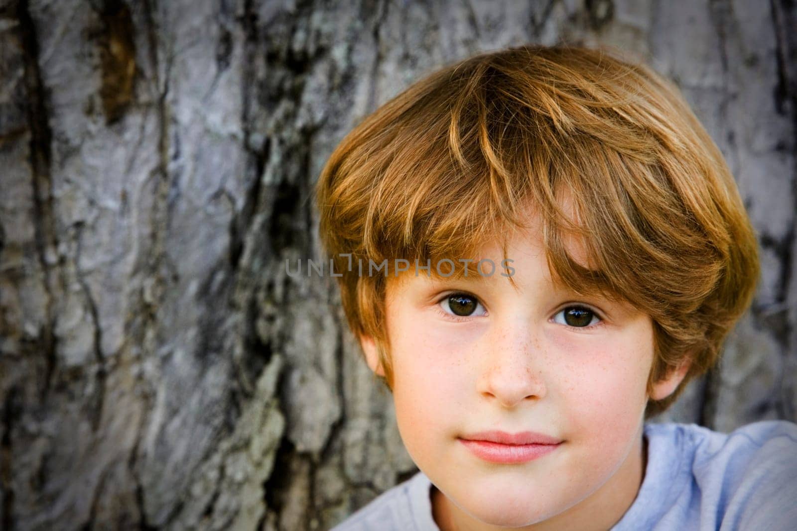 Portrait of boy