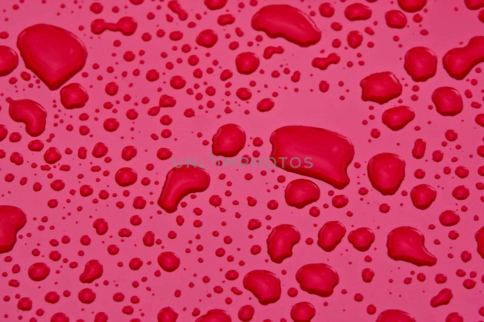 Water drops on pink surface