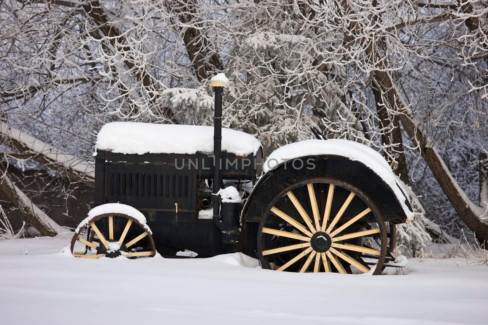 Antique farm tractor