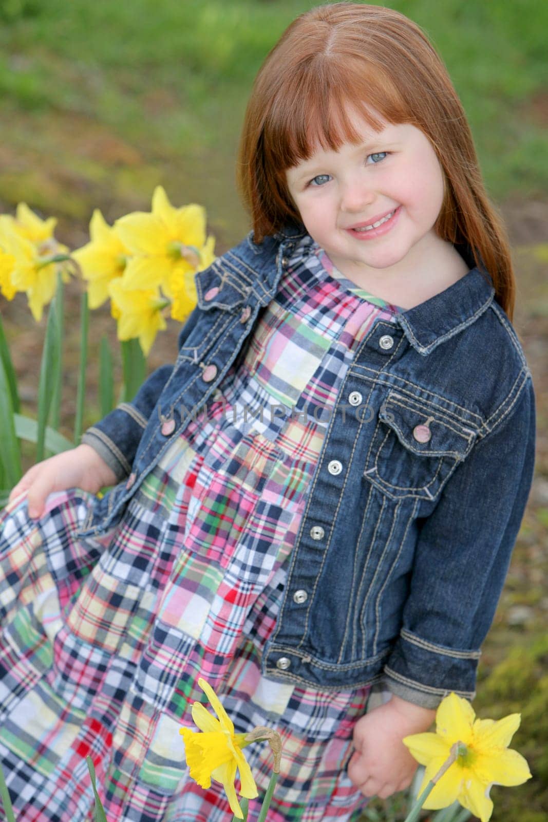 Little girl with daffodils