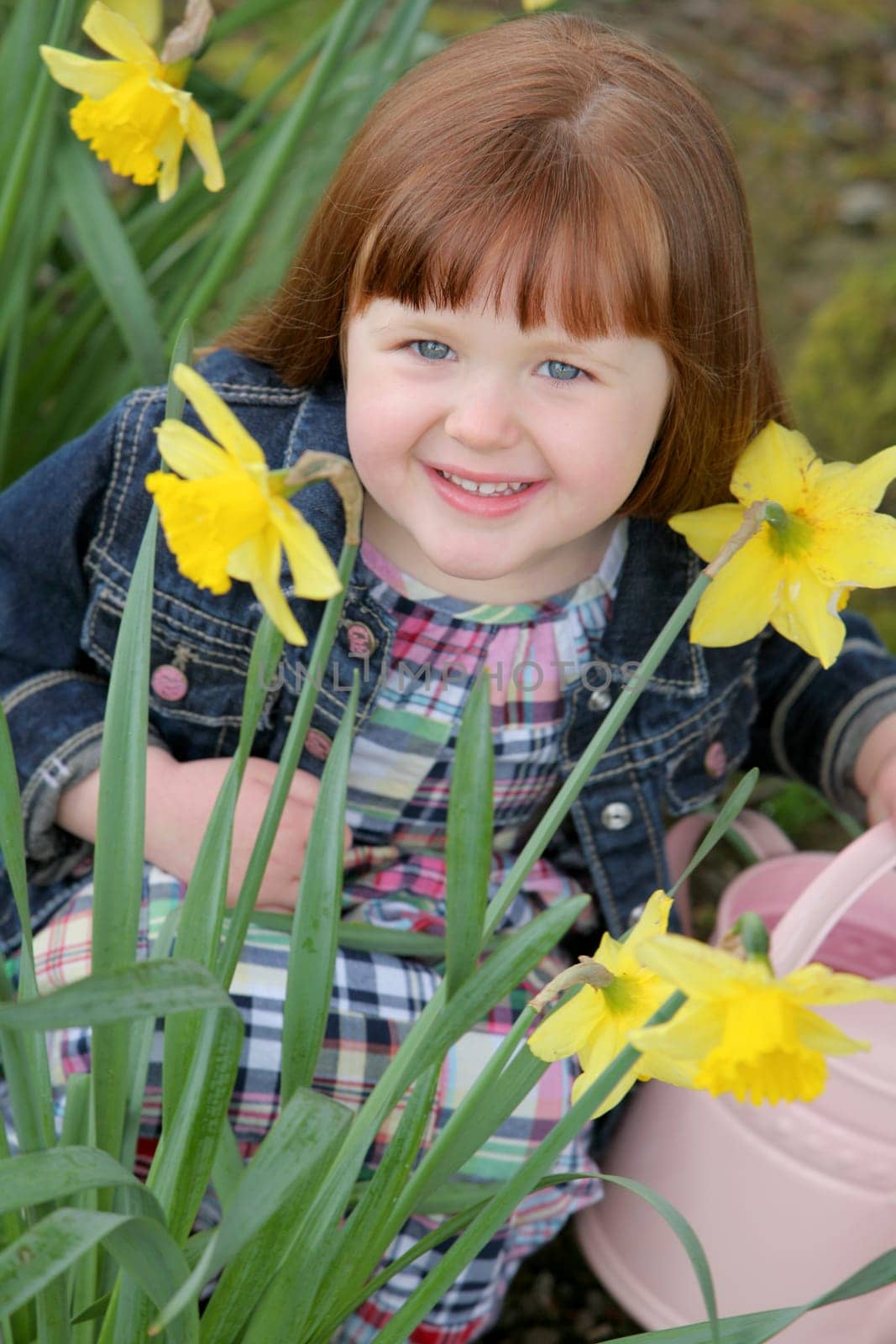 Little girl with daffodils