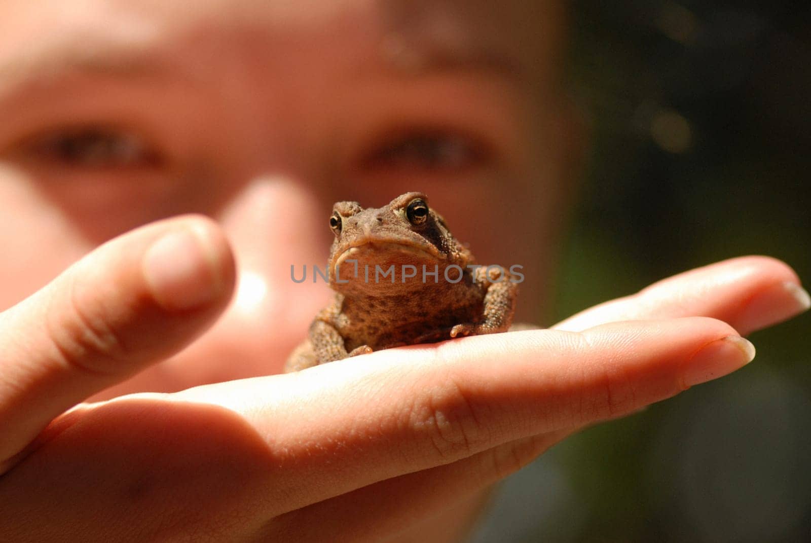 Holding a frog