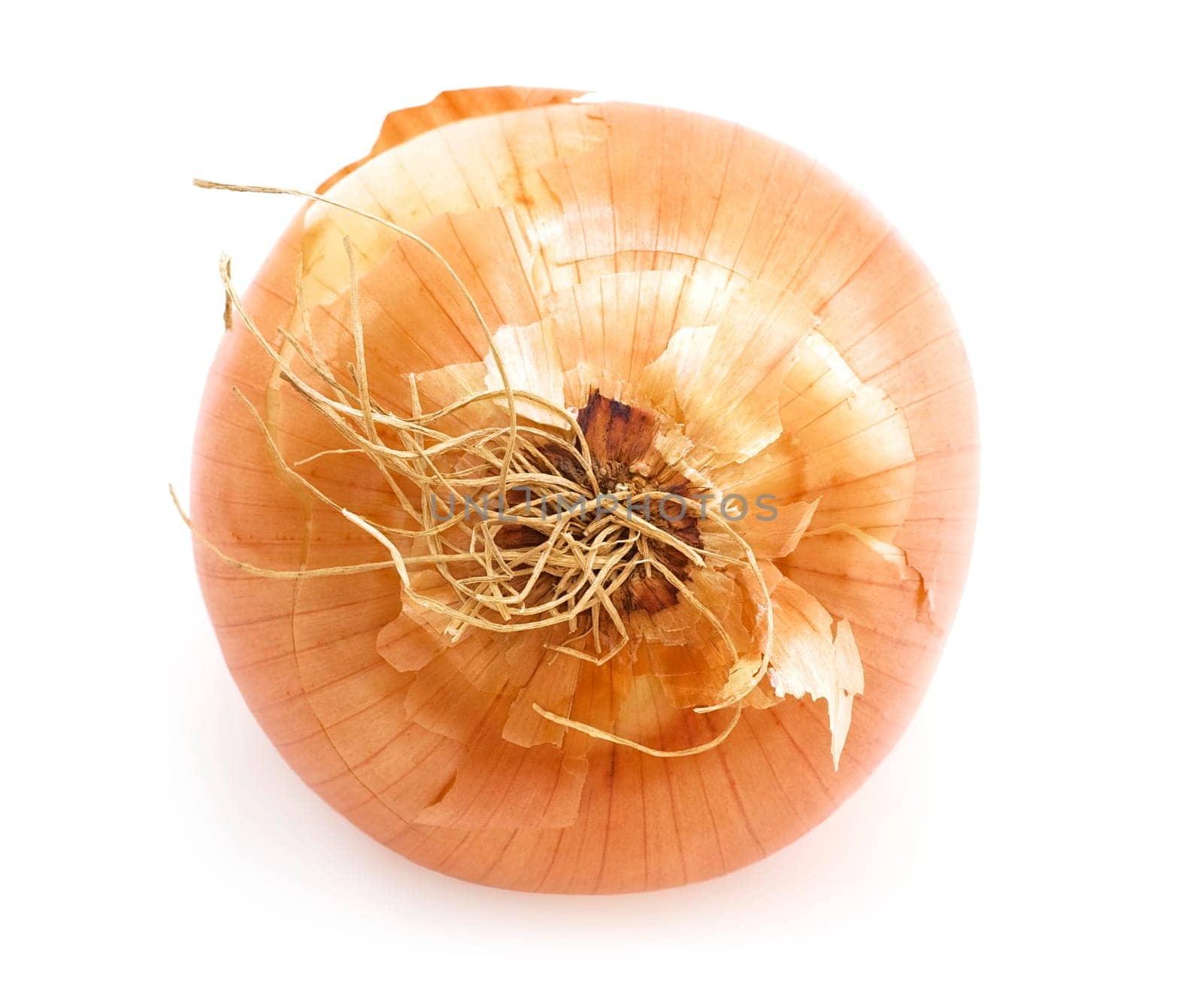 Onion