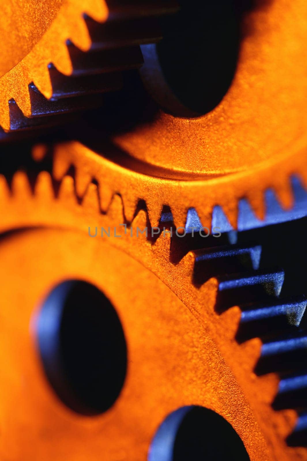 Gear