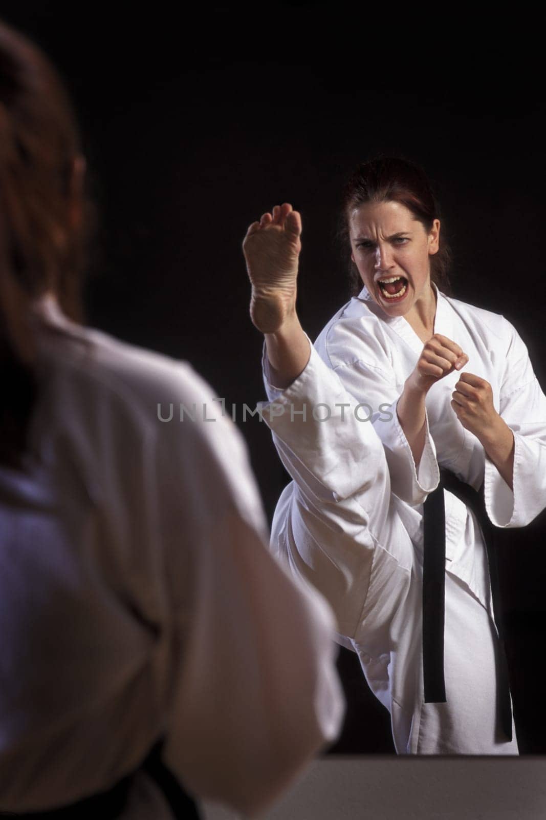Martial arts competition