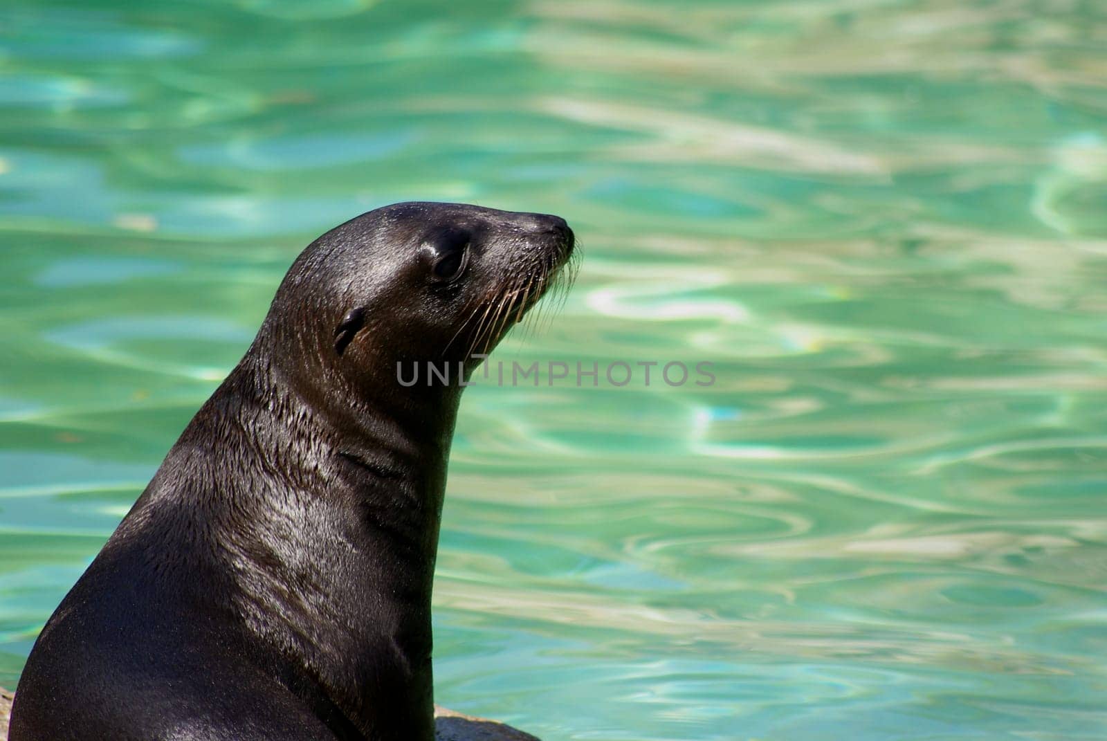 Recorded at the Berlin Zoo - Have fun watching