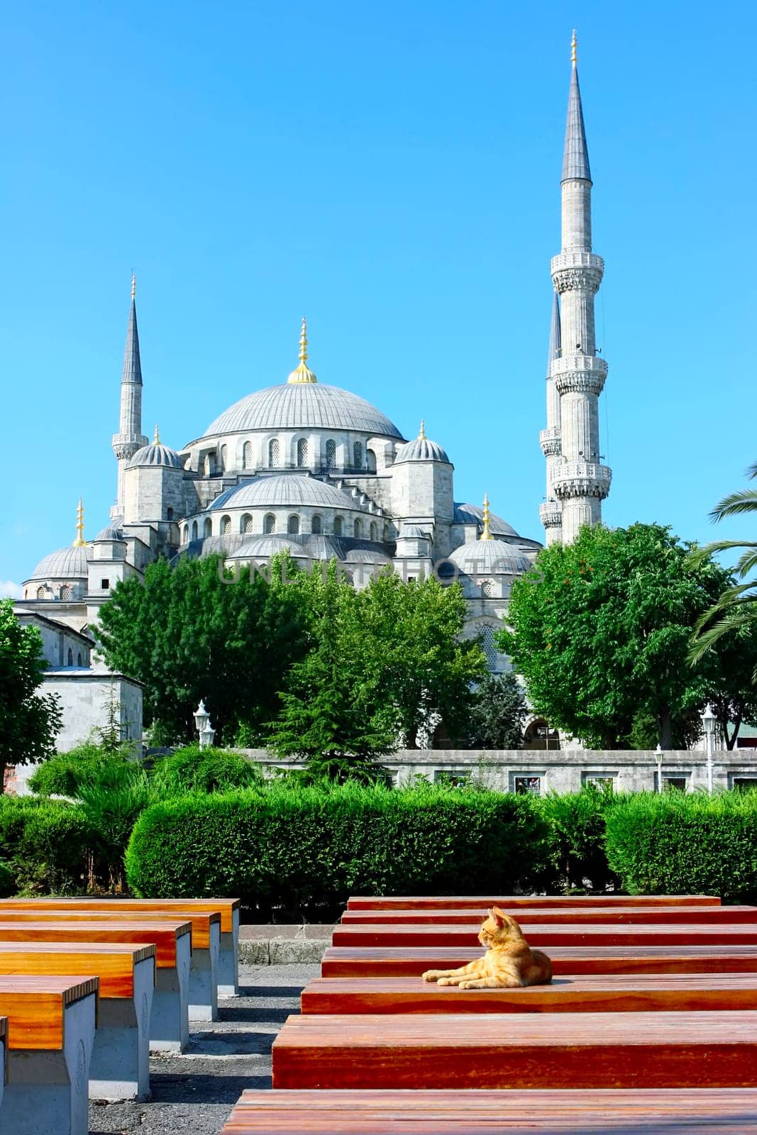 Blue Mosque in Istanbul