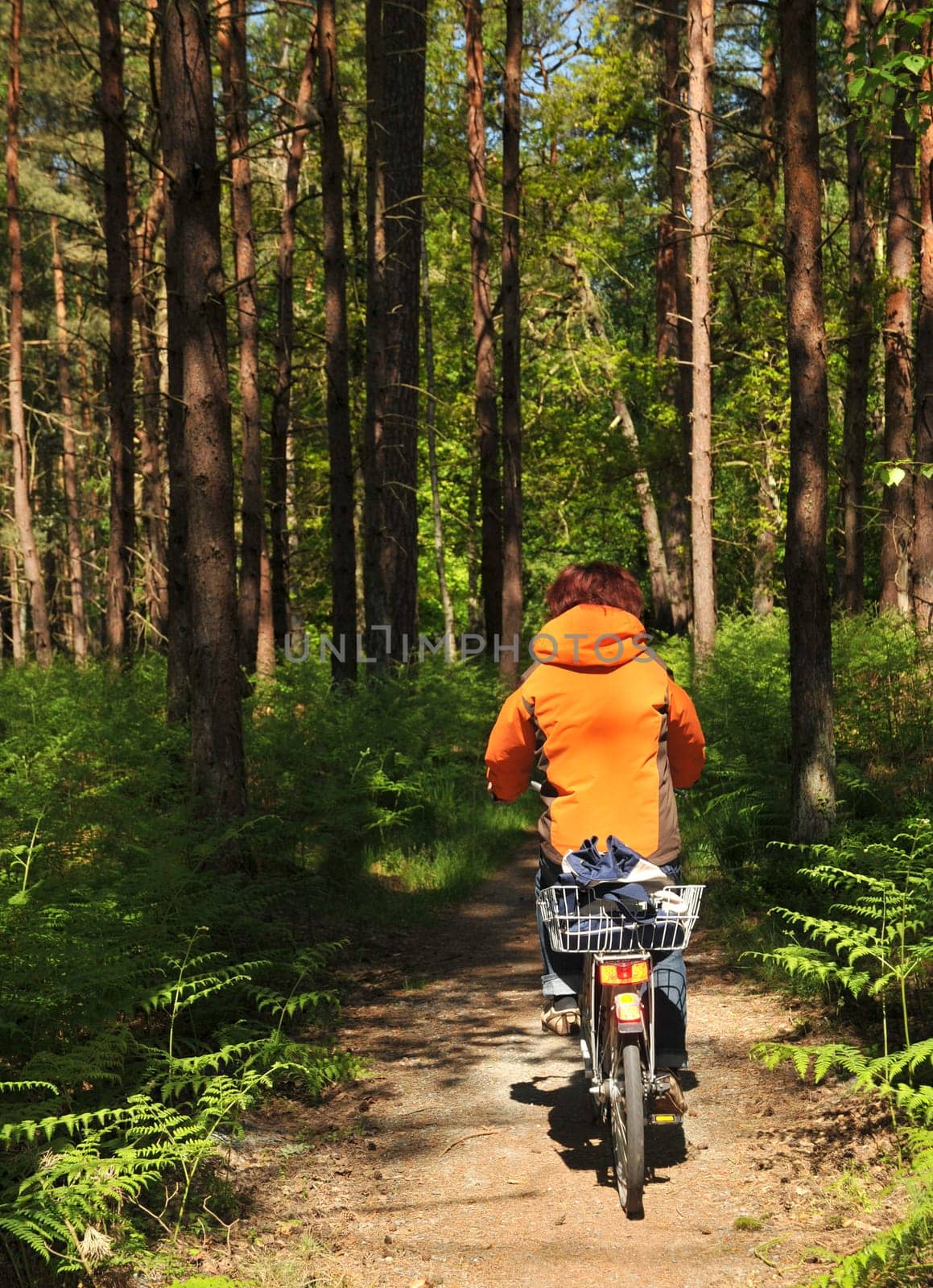 Bike ride