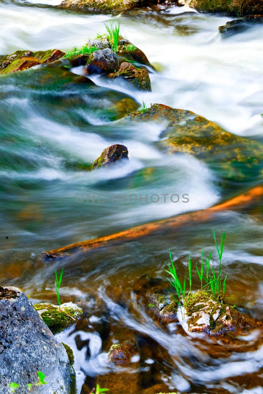 River through woods