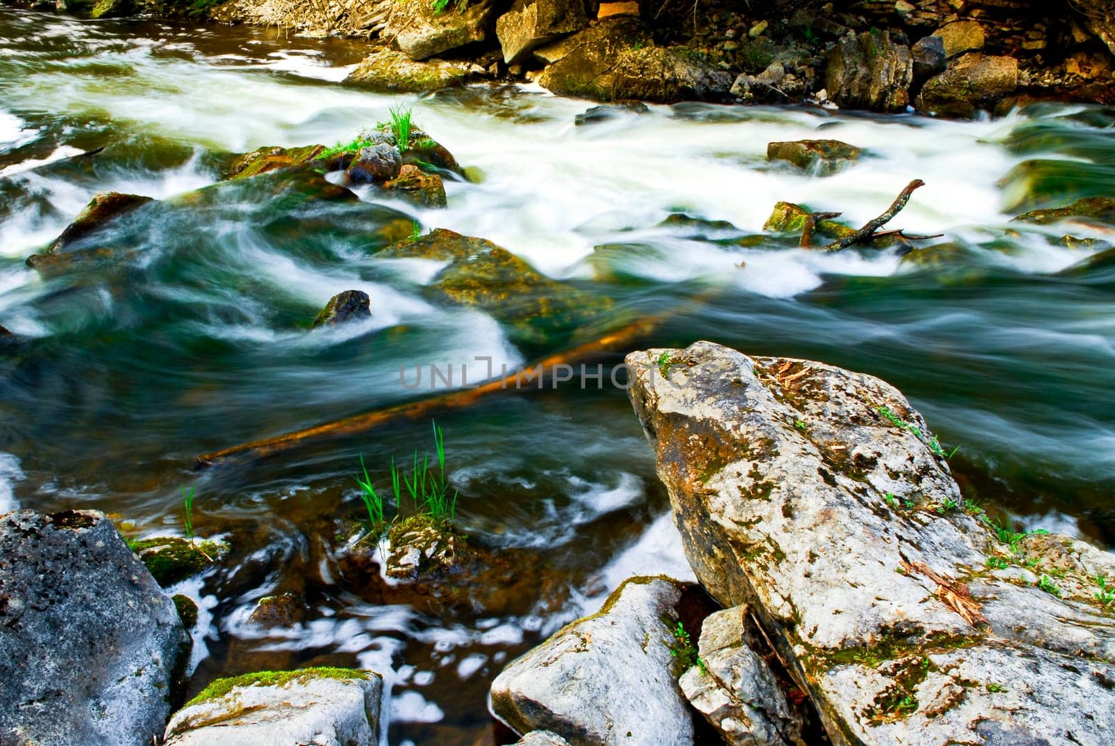 River through woods