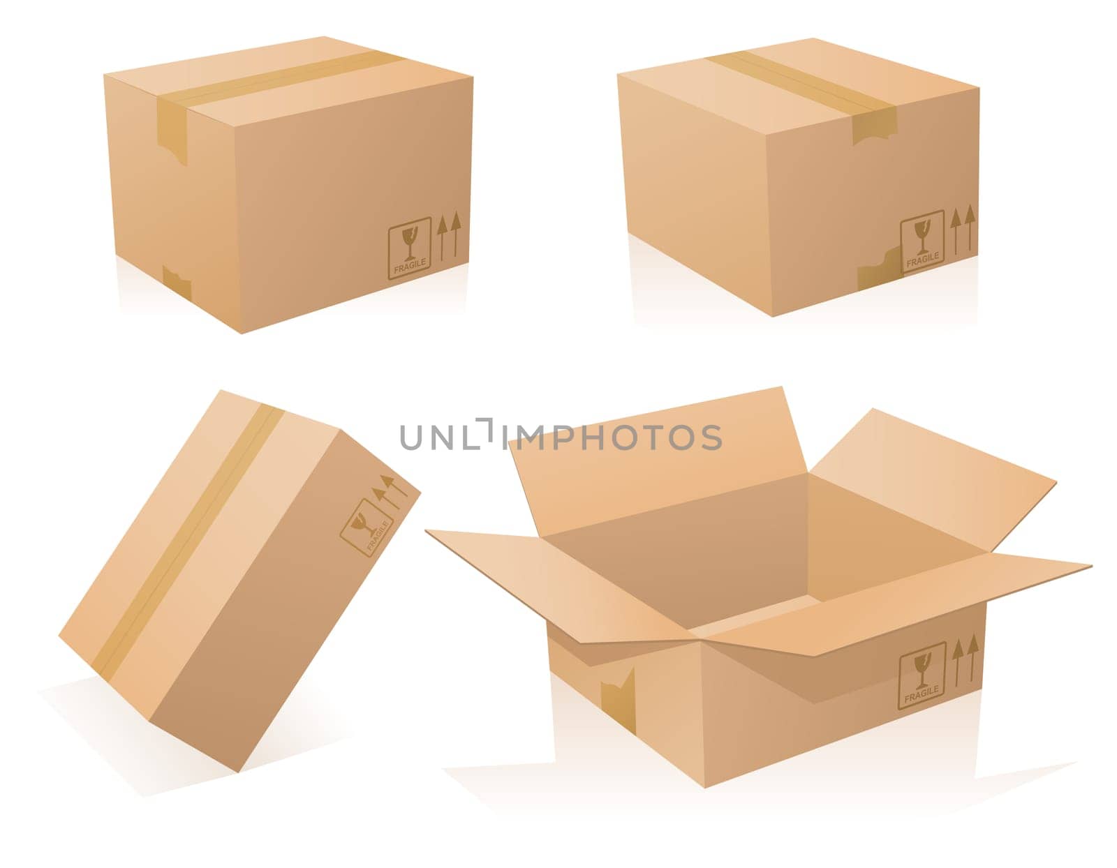 Cardboards