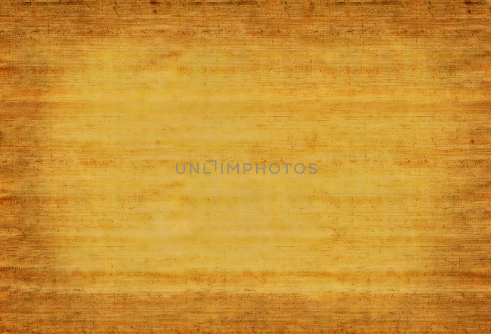 Papyrus