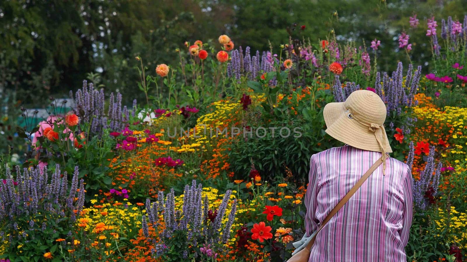 Flower Woman