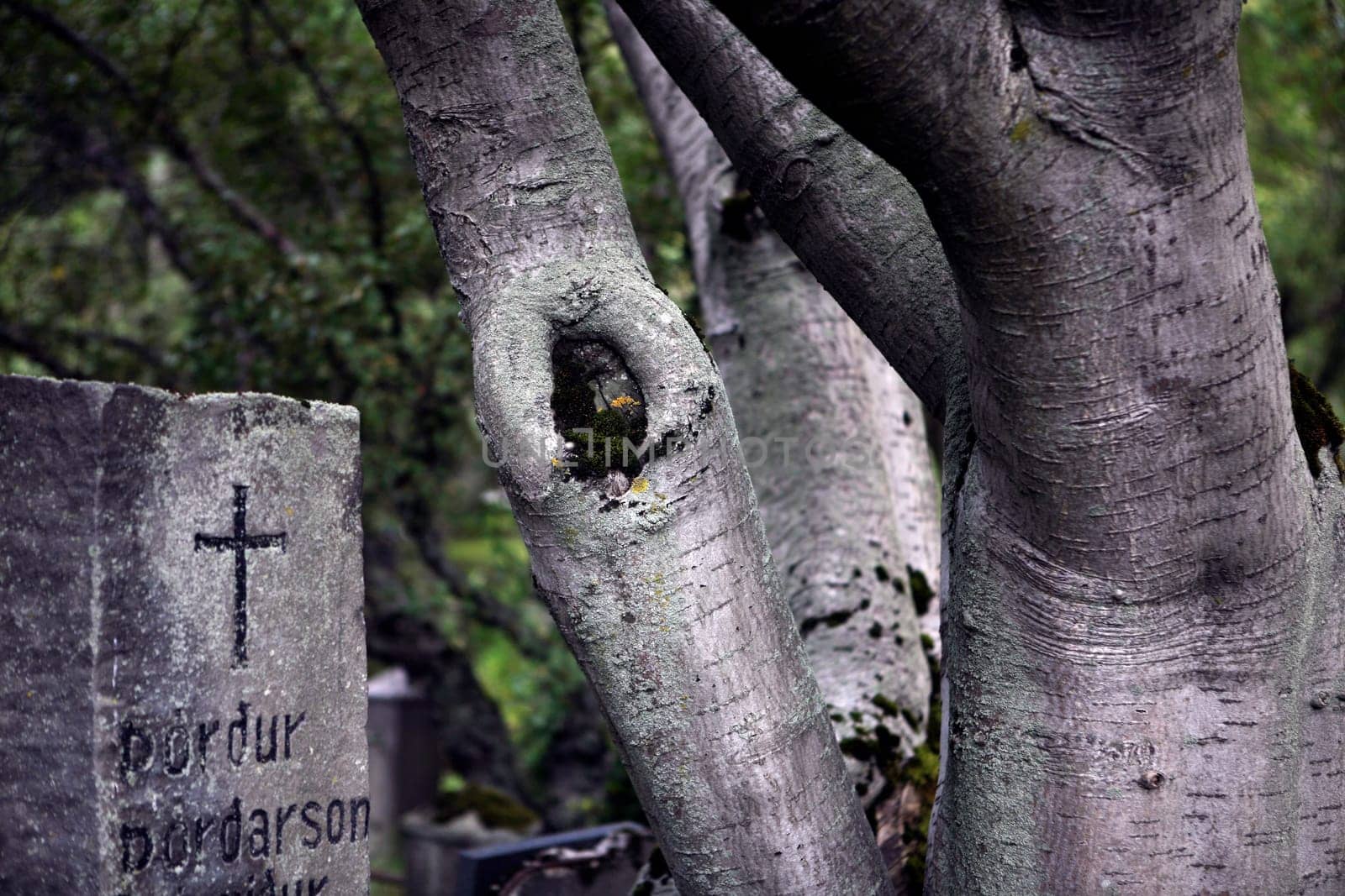 Cemetery