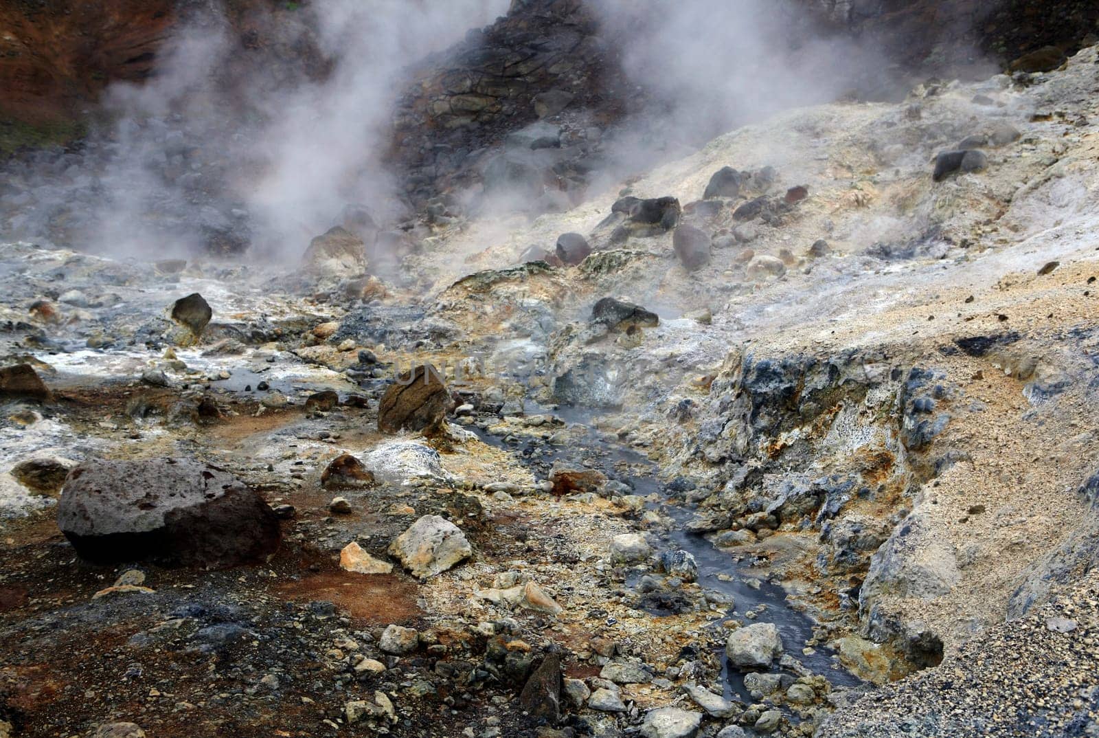 Geothermal area