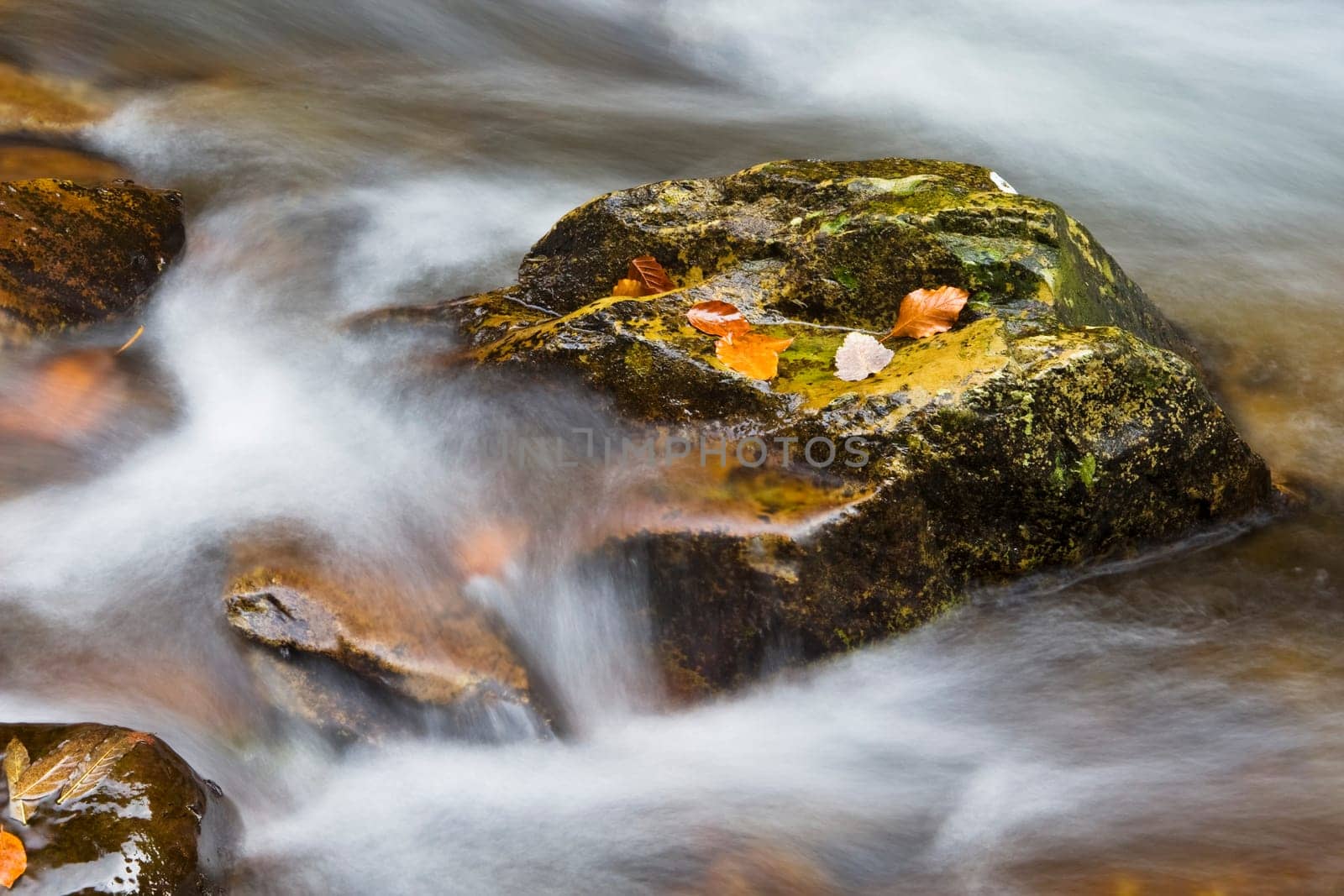 Autumn falls