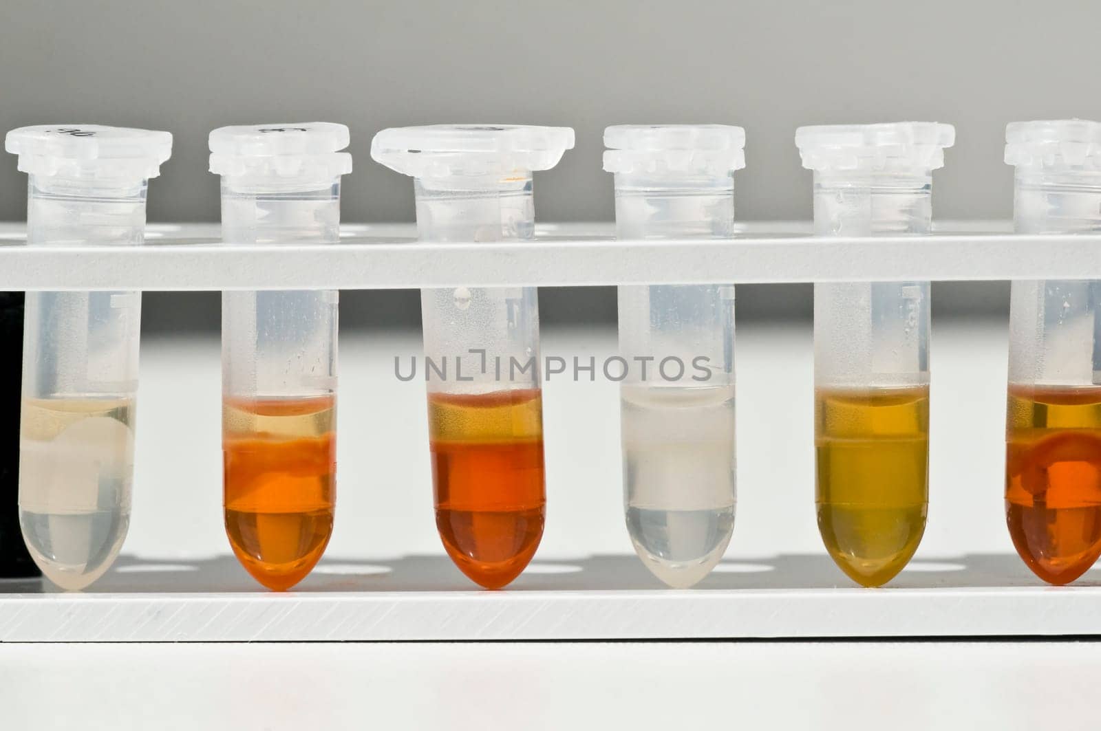 Laboratory11