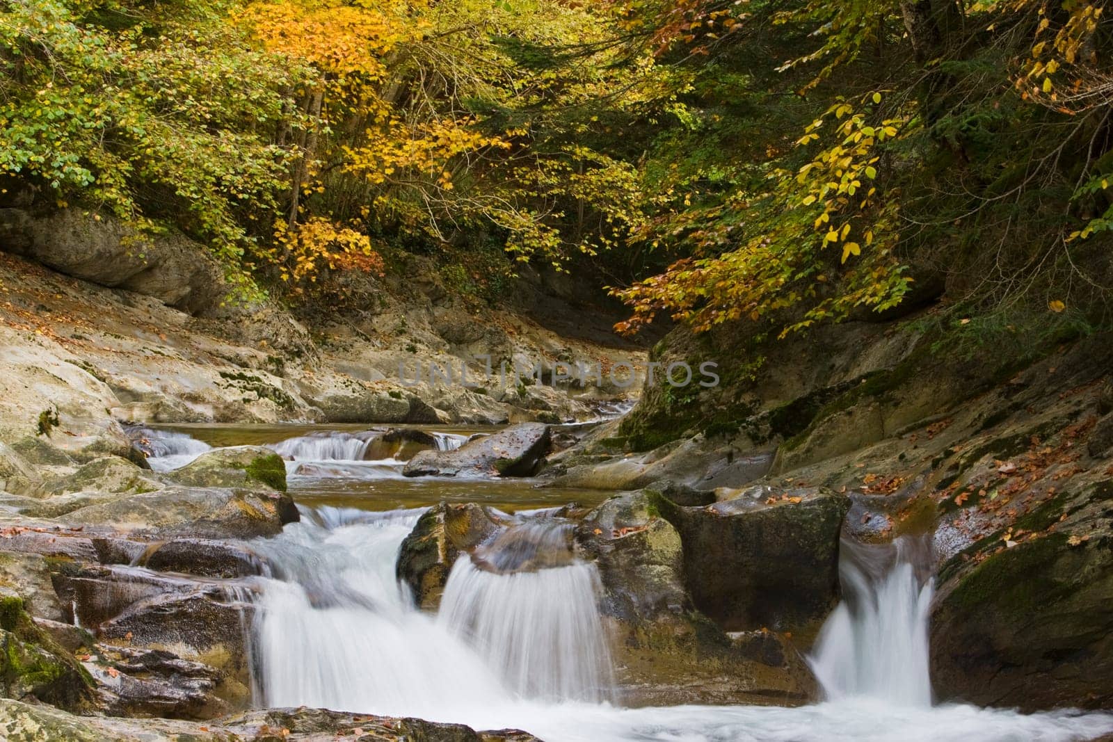 Autumn falls
